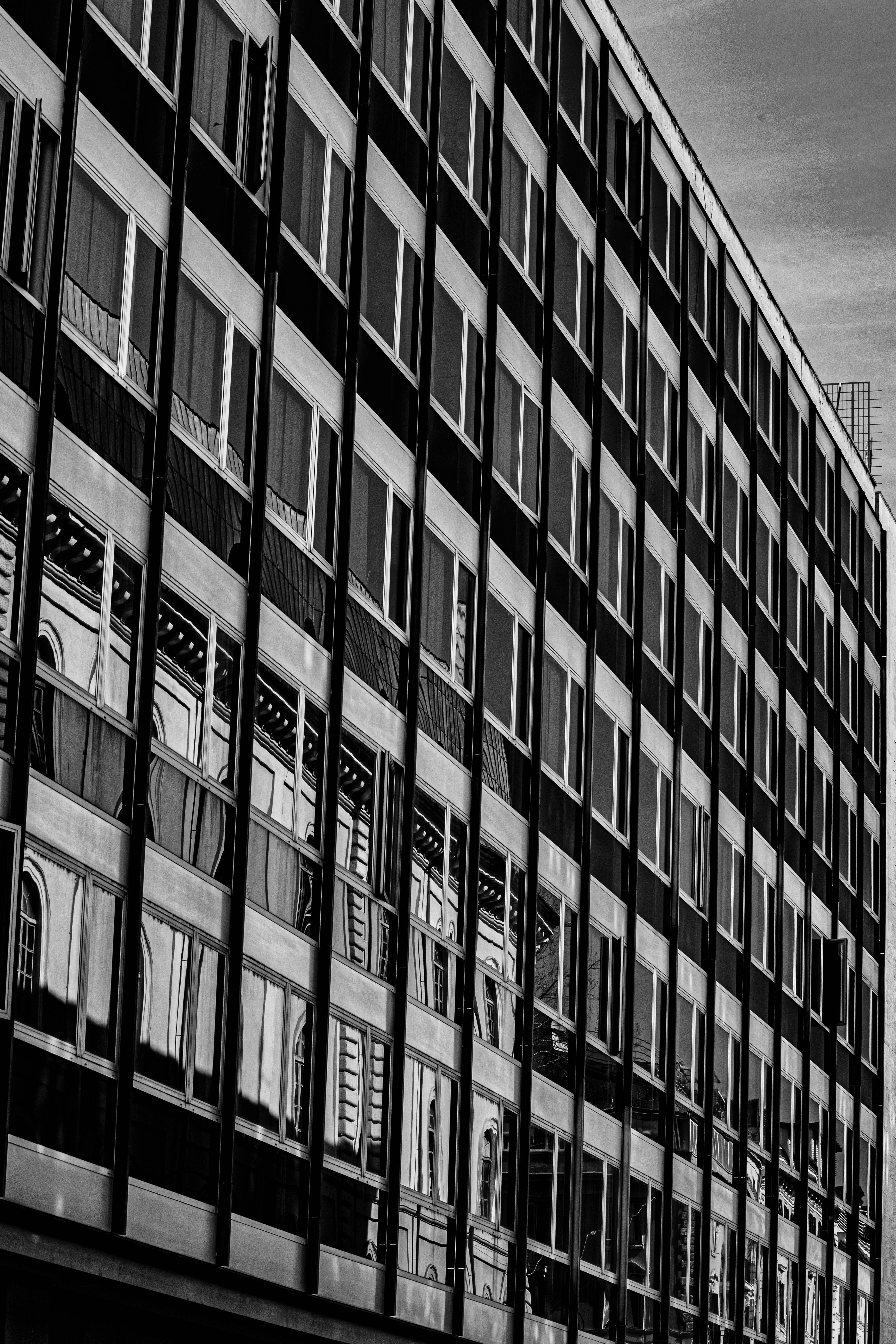 Las mejores 20 empresas para inteligencia empresarial en Ribeira