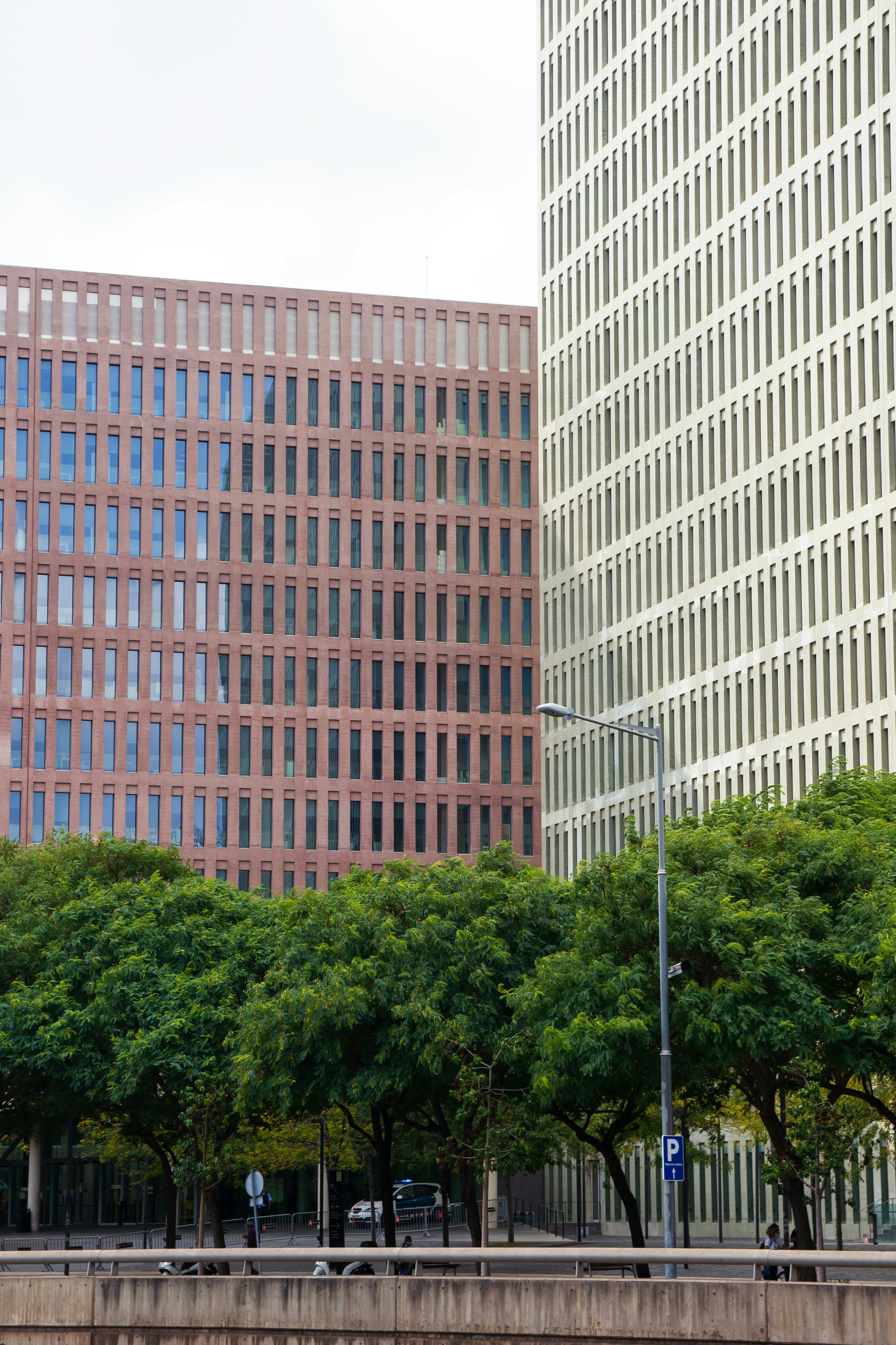 Las 5 mejores empresas para eliminar la entrada manual de datos en Barcelona
