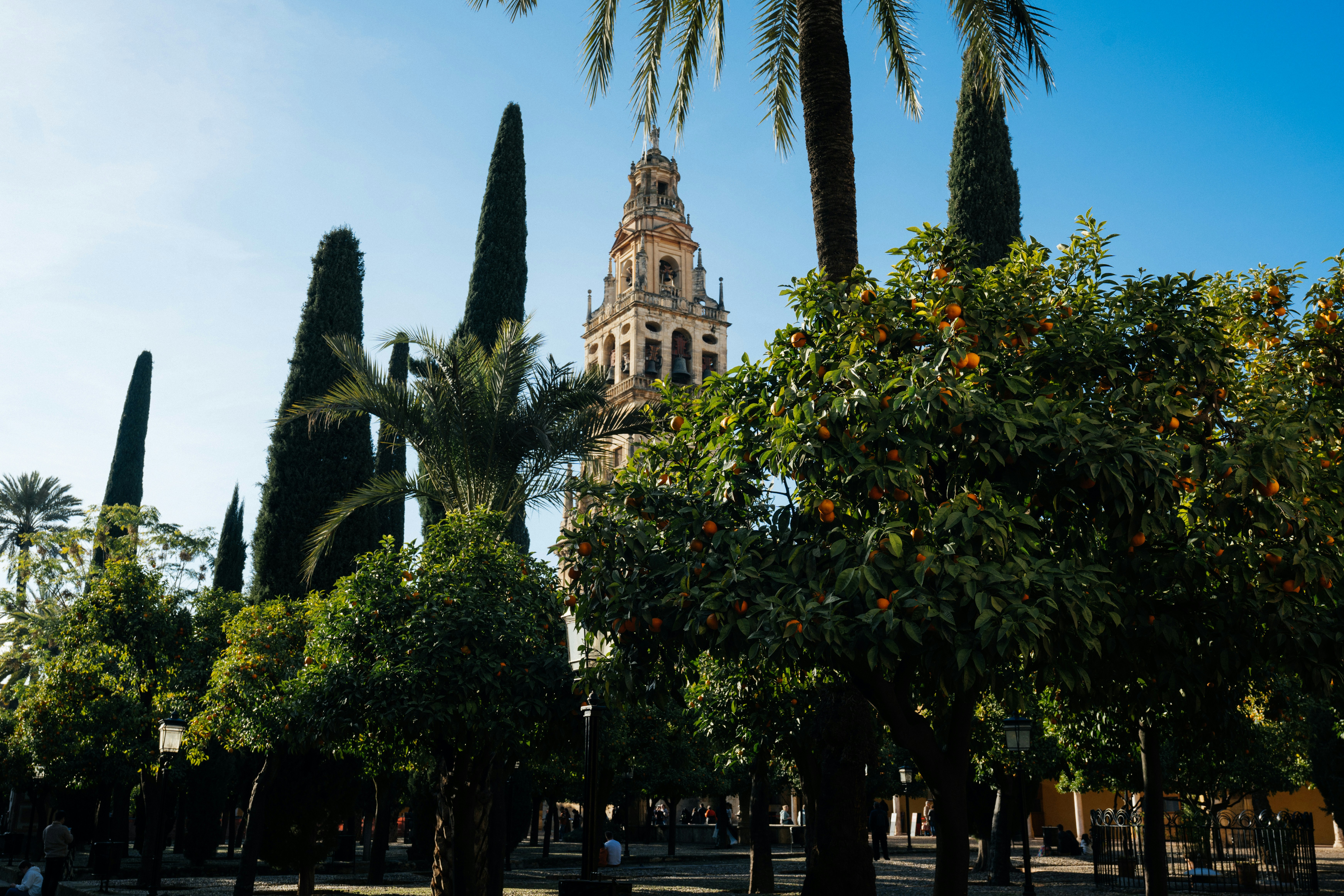 Las 50 mejores empresas de contact center con IA en Córdoba