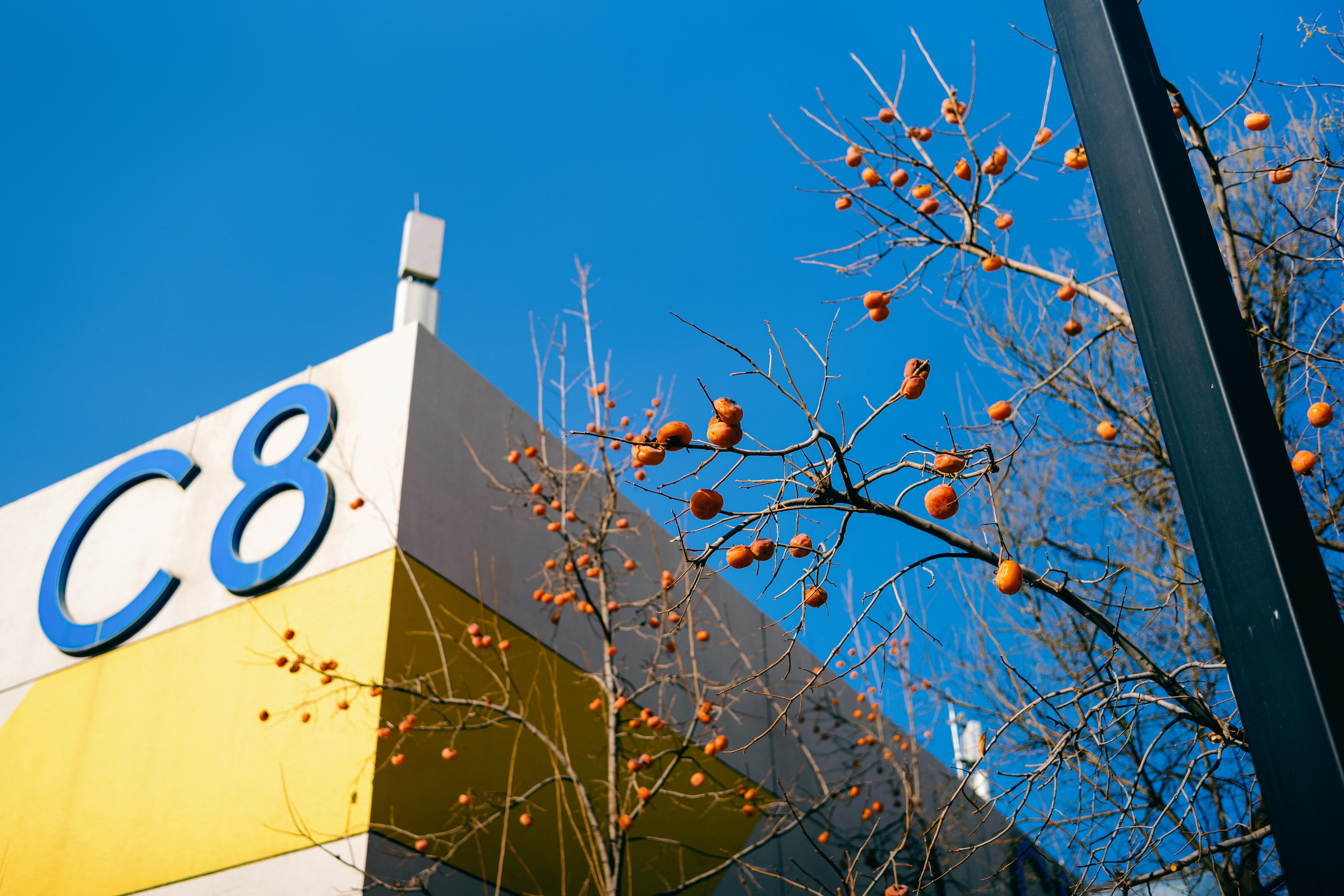 Top 50 Empresas de servicios de n8n en Blanes