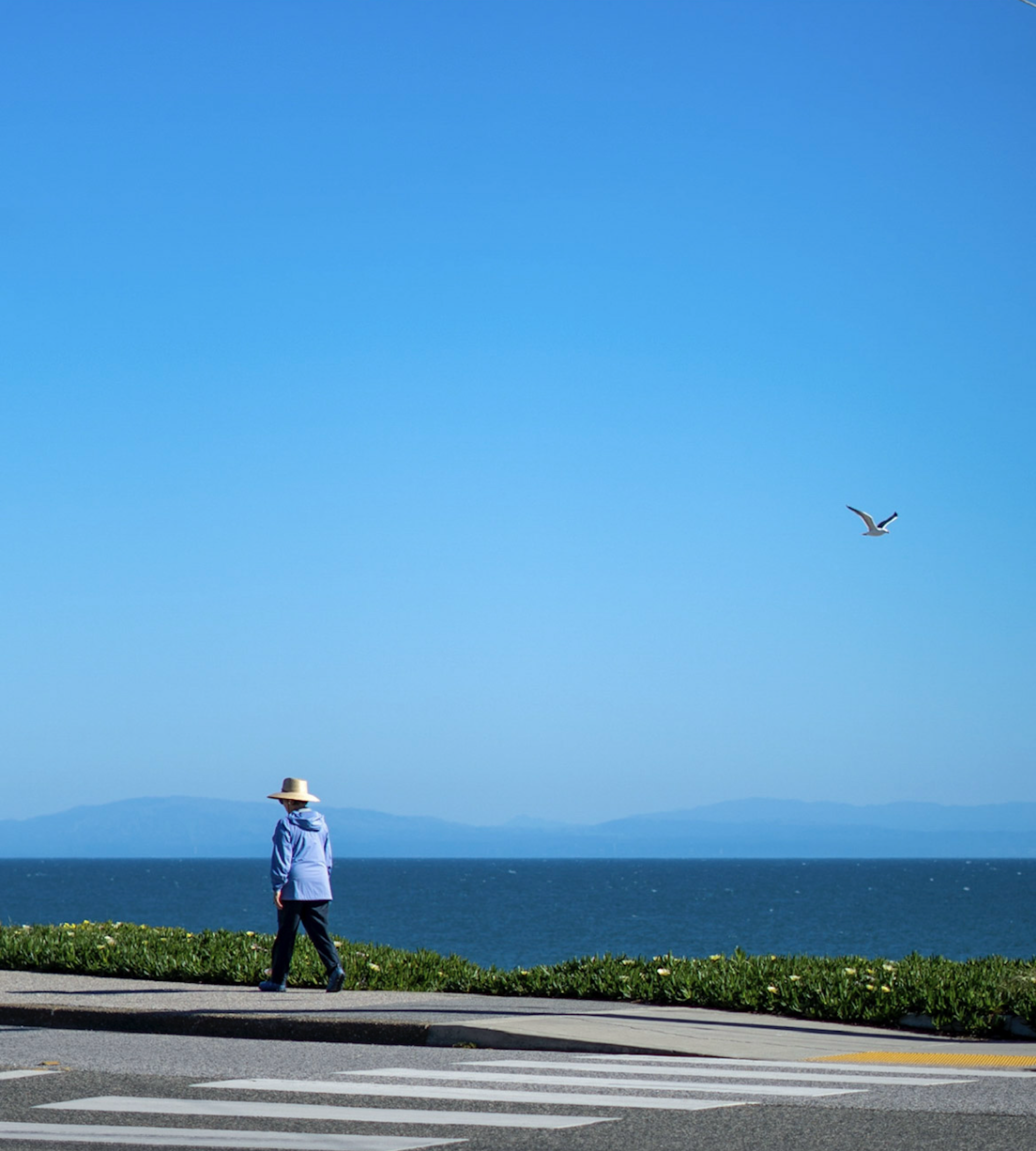 Top 100 Empresas para avatares humanos digitales en Santa Cruz de Tenerife