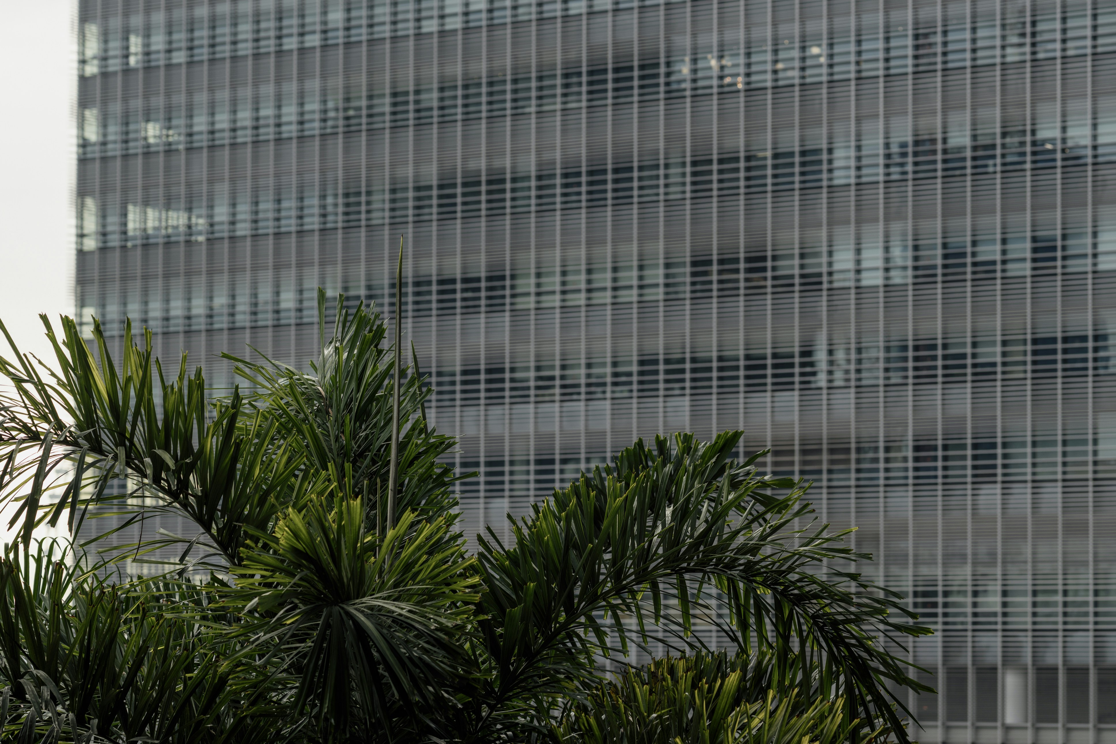 Mejores 3 empresas para codificación con ambiente seguro empresarial en Zaragoza