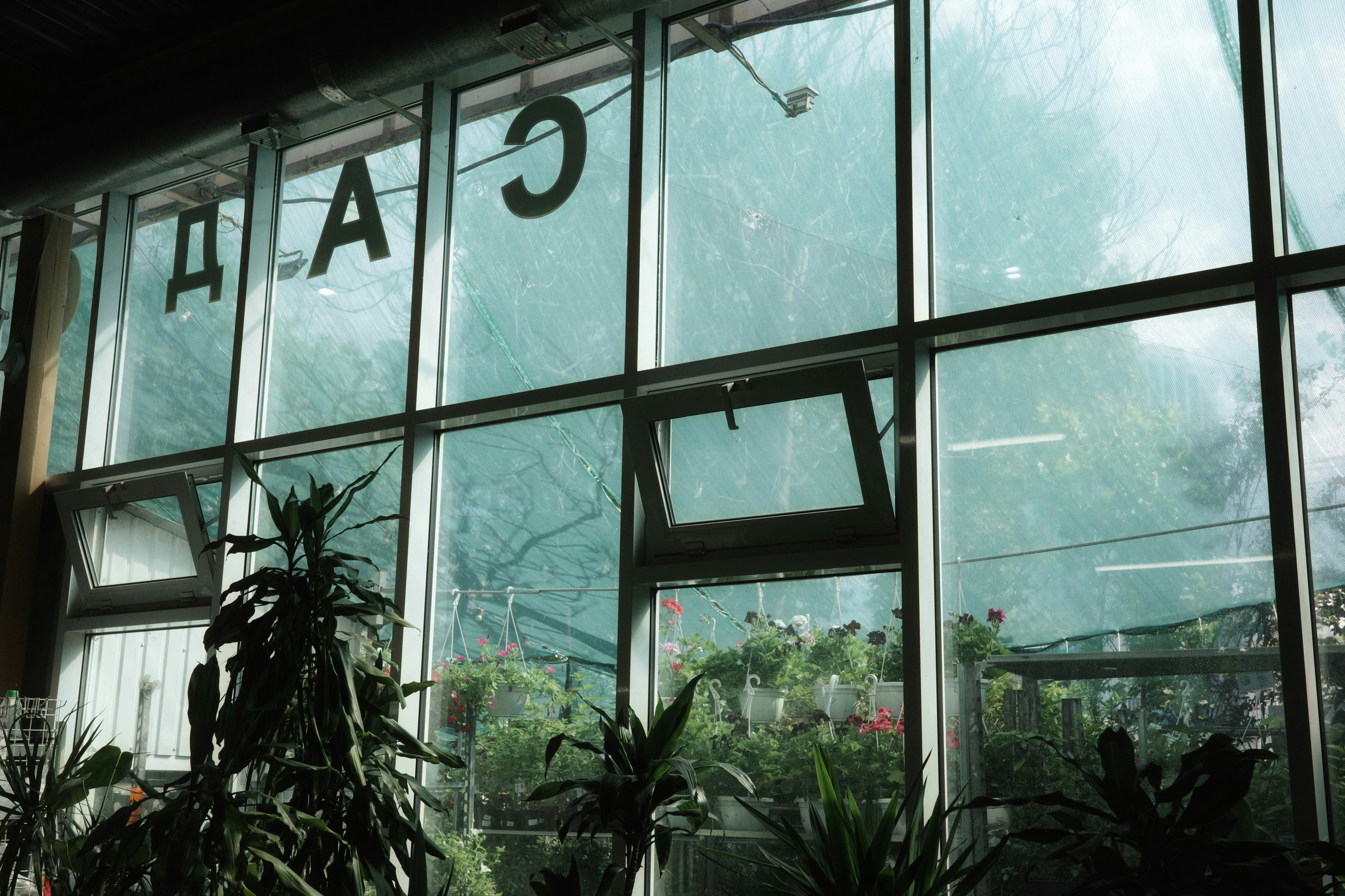 Top 5 Empresas de IA AGENCY en Tafalla