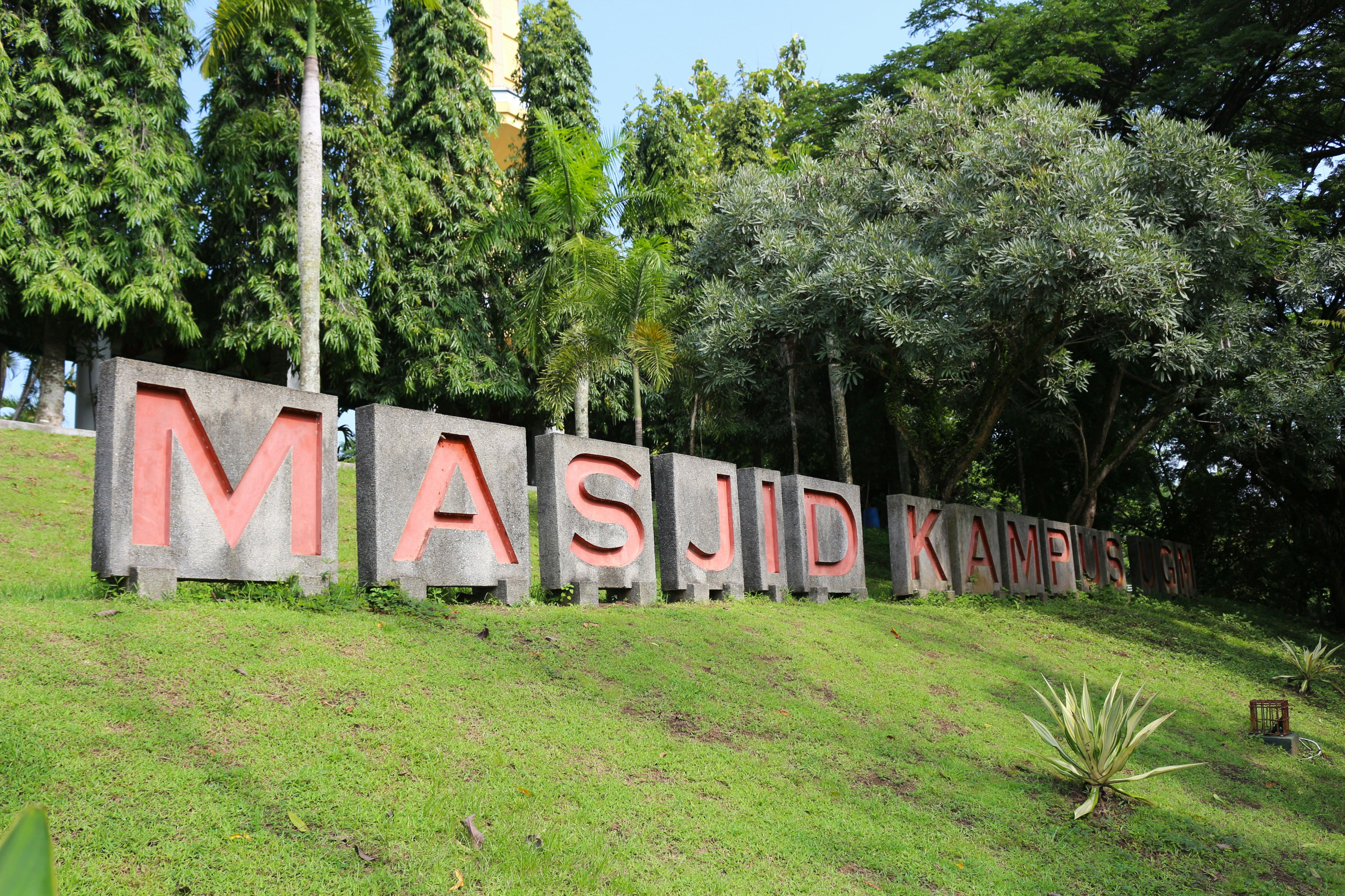 Top 15 Empresas de consultoría de aplicaciones en Majadahonda