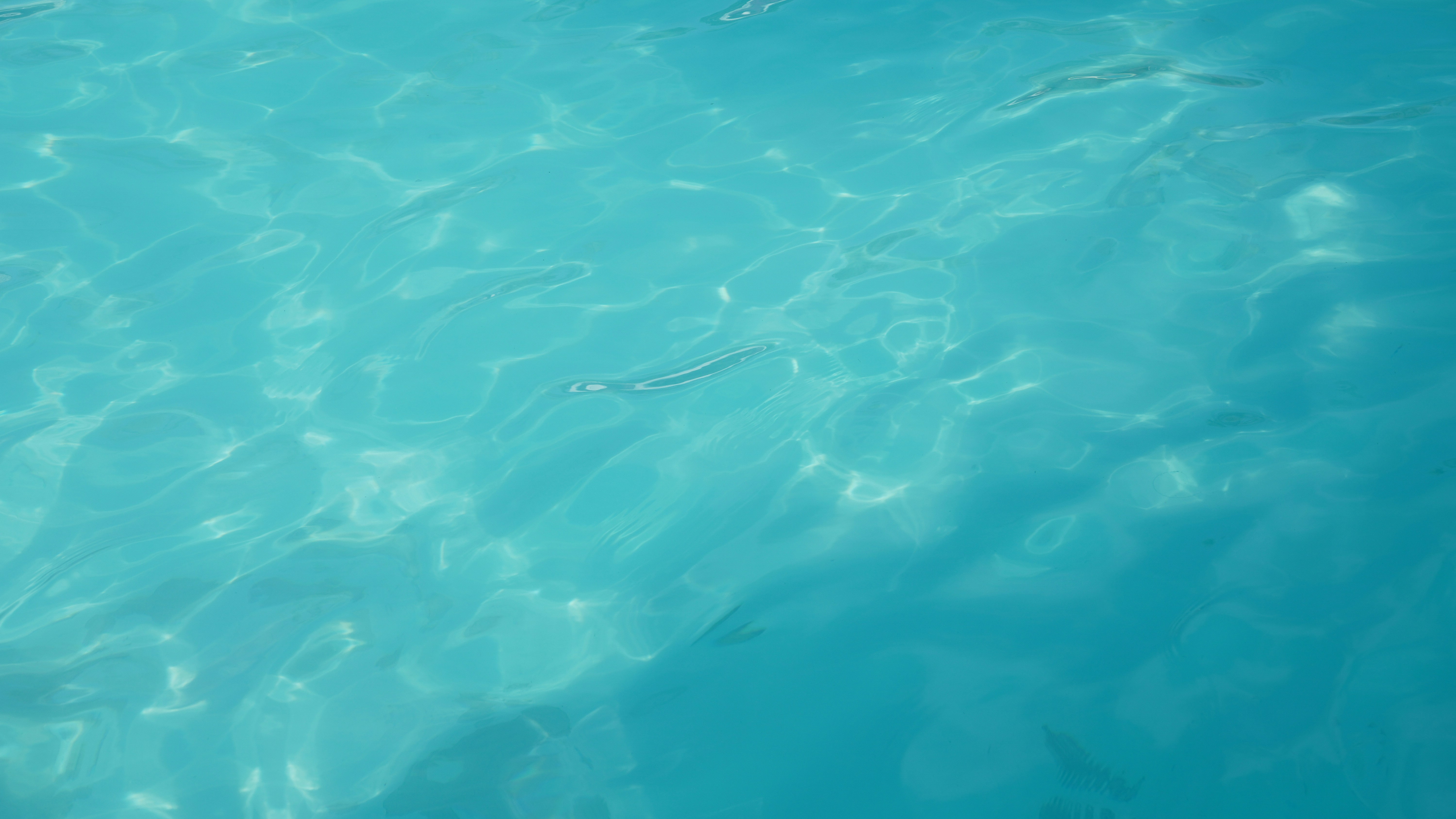 Top 3 Empresas para automatización de negocios de spa en Bilbao