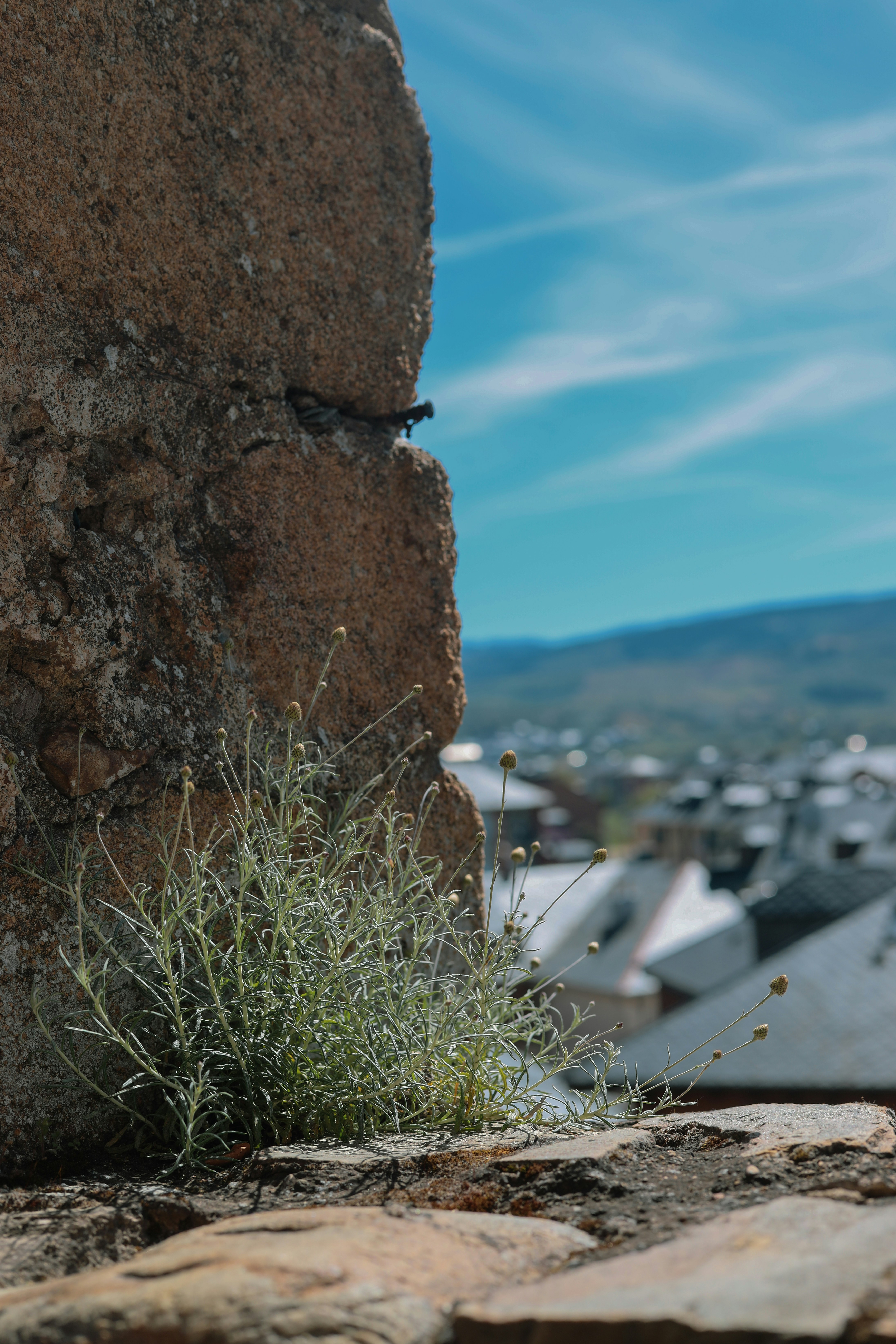 Top 10 Empresas de bots de Instagram en Ponferrada