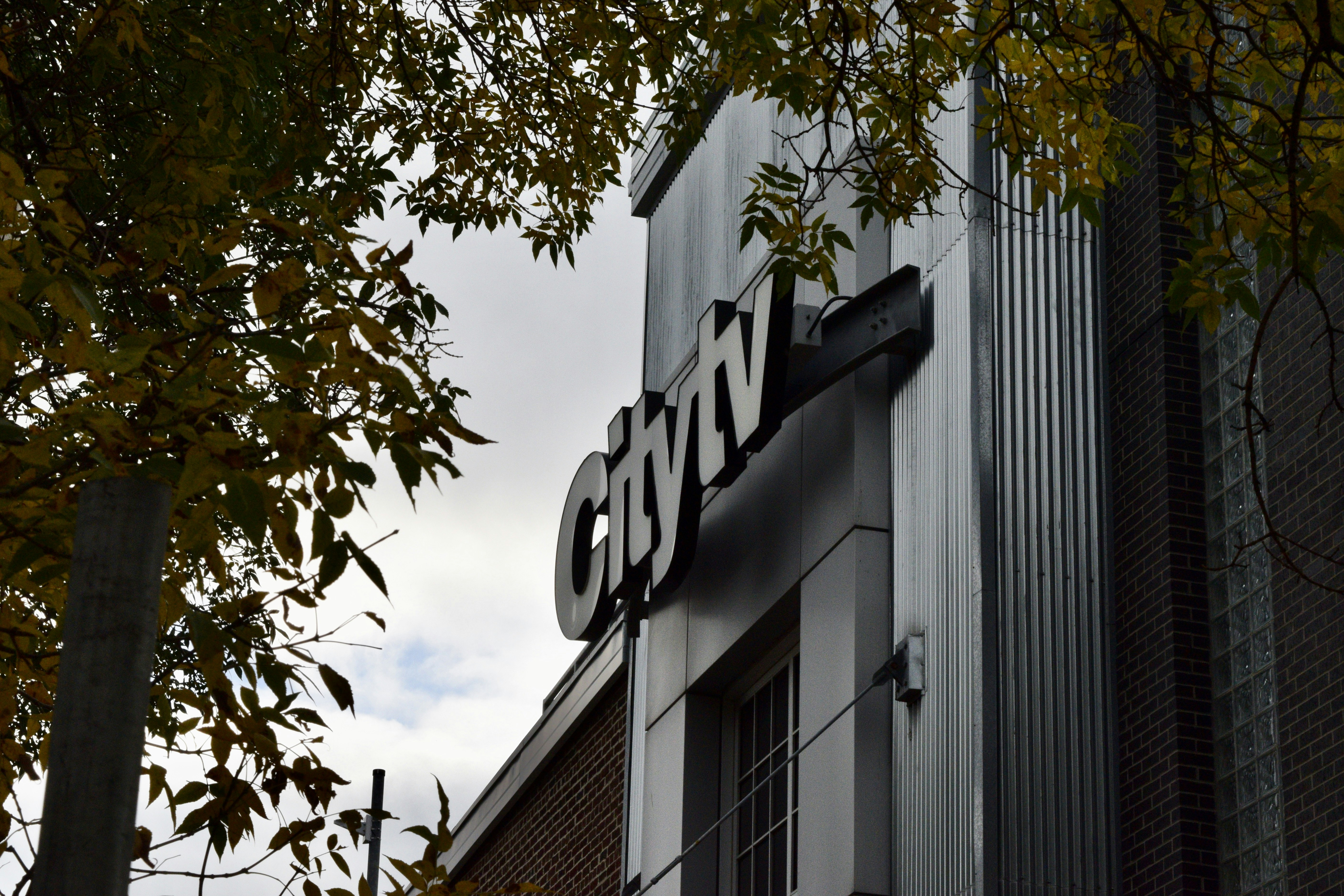 Top 20 Empresas para AI AGENCY en Cieza