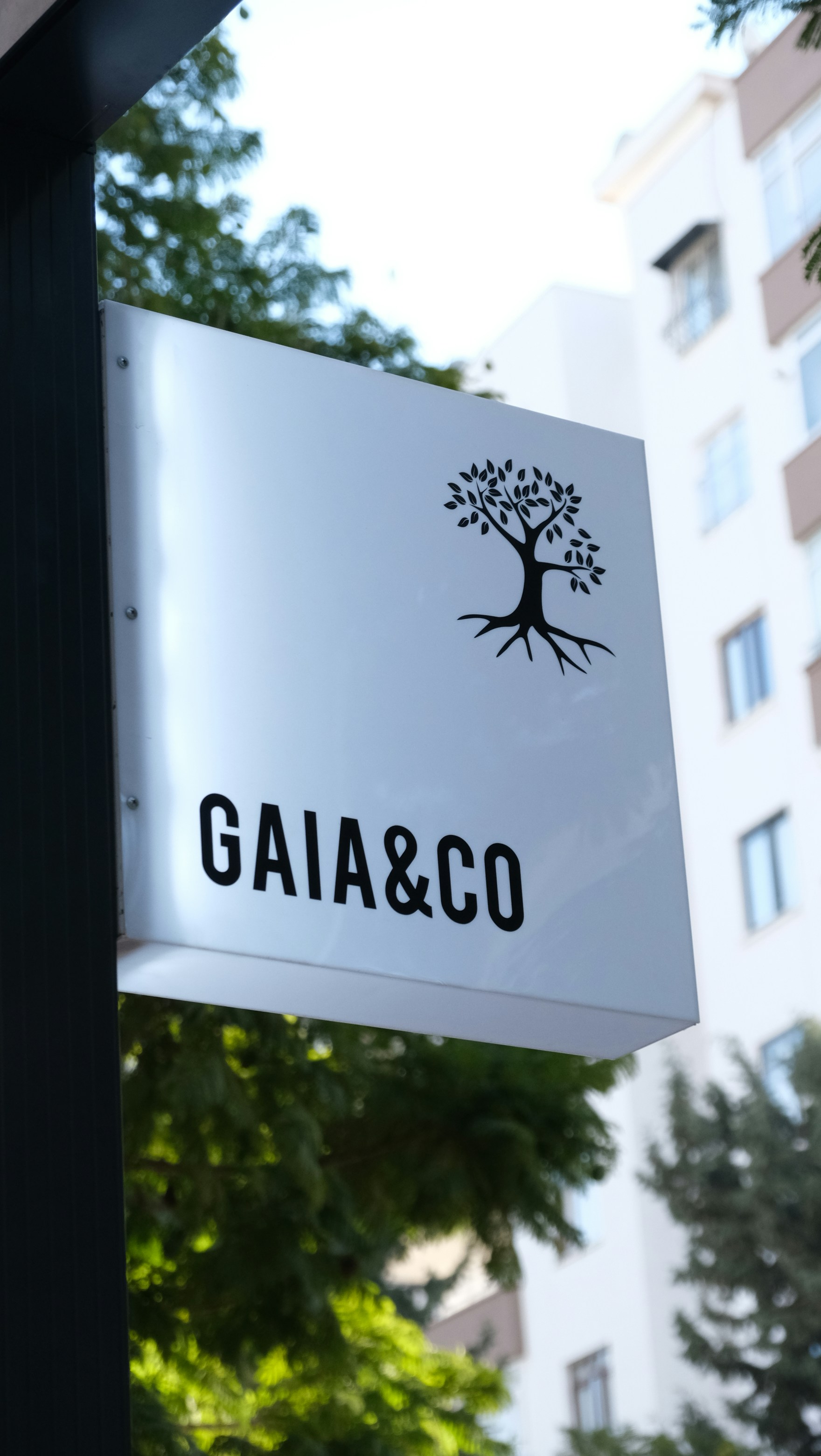 Mejores 5 empresas para AGENCIA de IA en Gavà