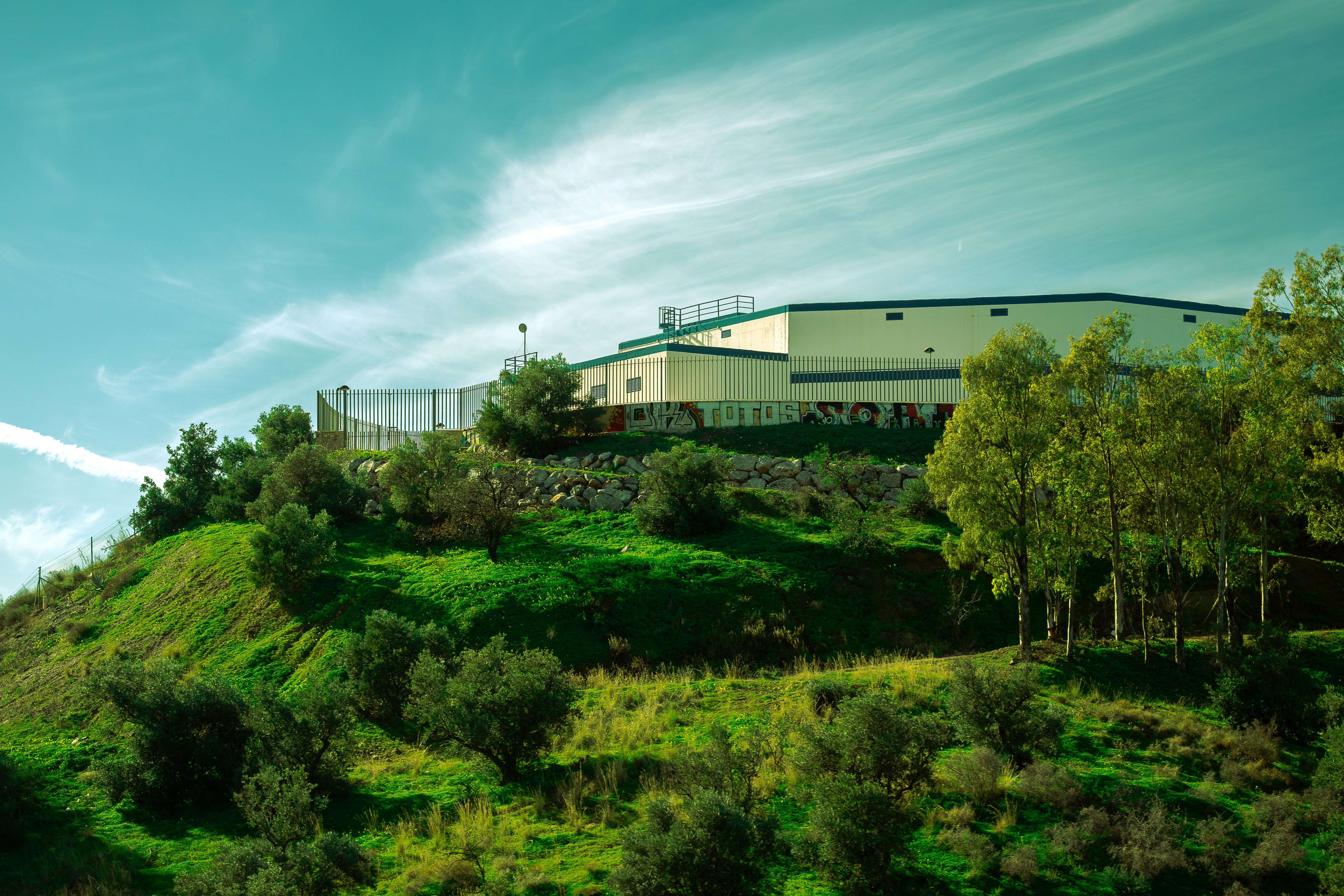 Top 100 Empresas de Inteligencia Artificial en Jerez de la Frontera