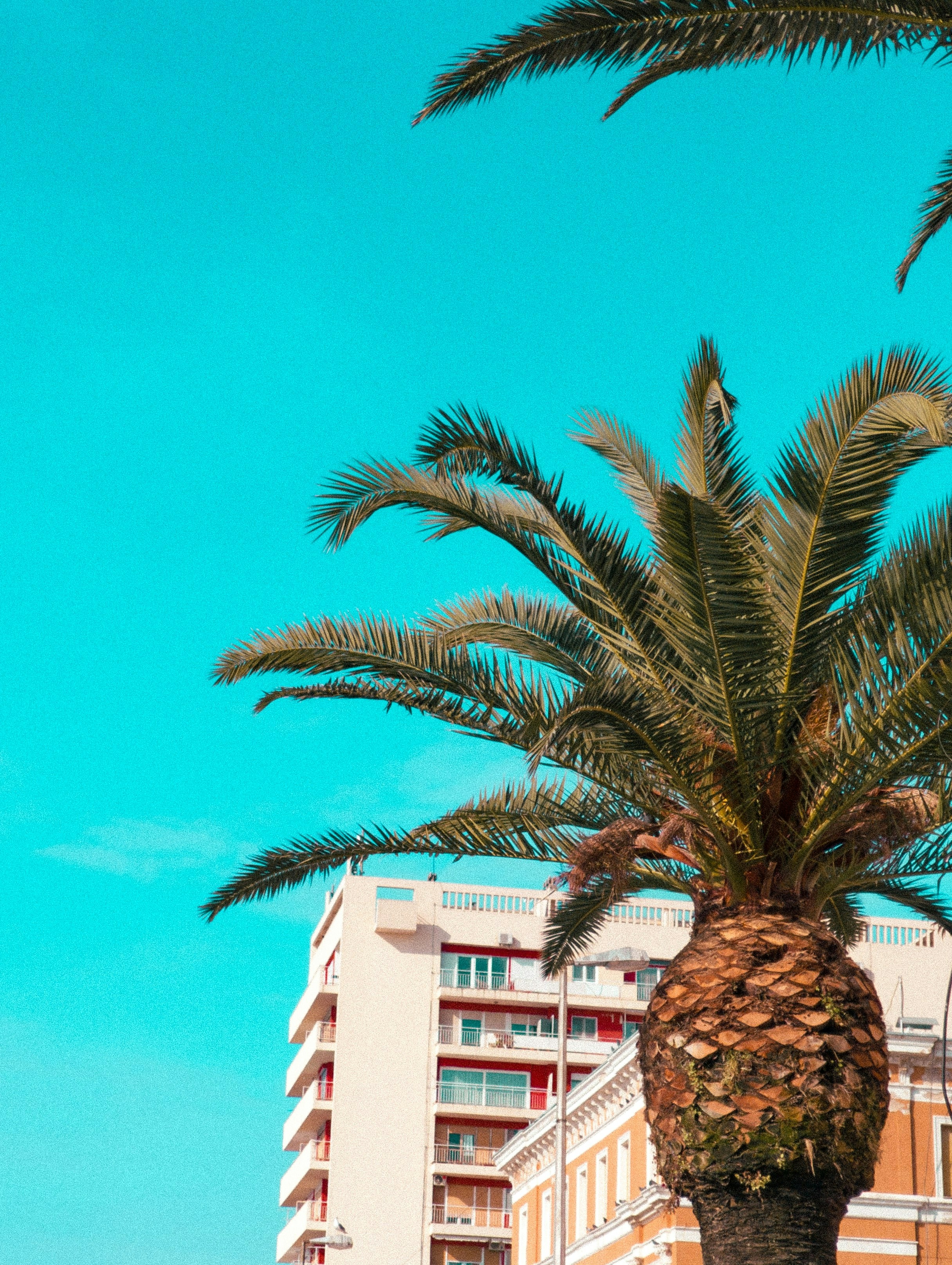 Mejores 30 empresas para n8n en Ibiza