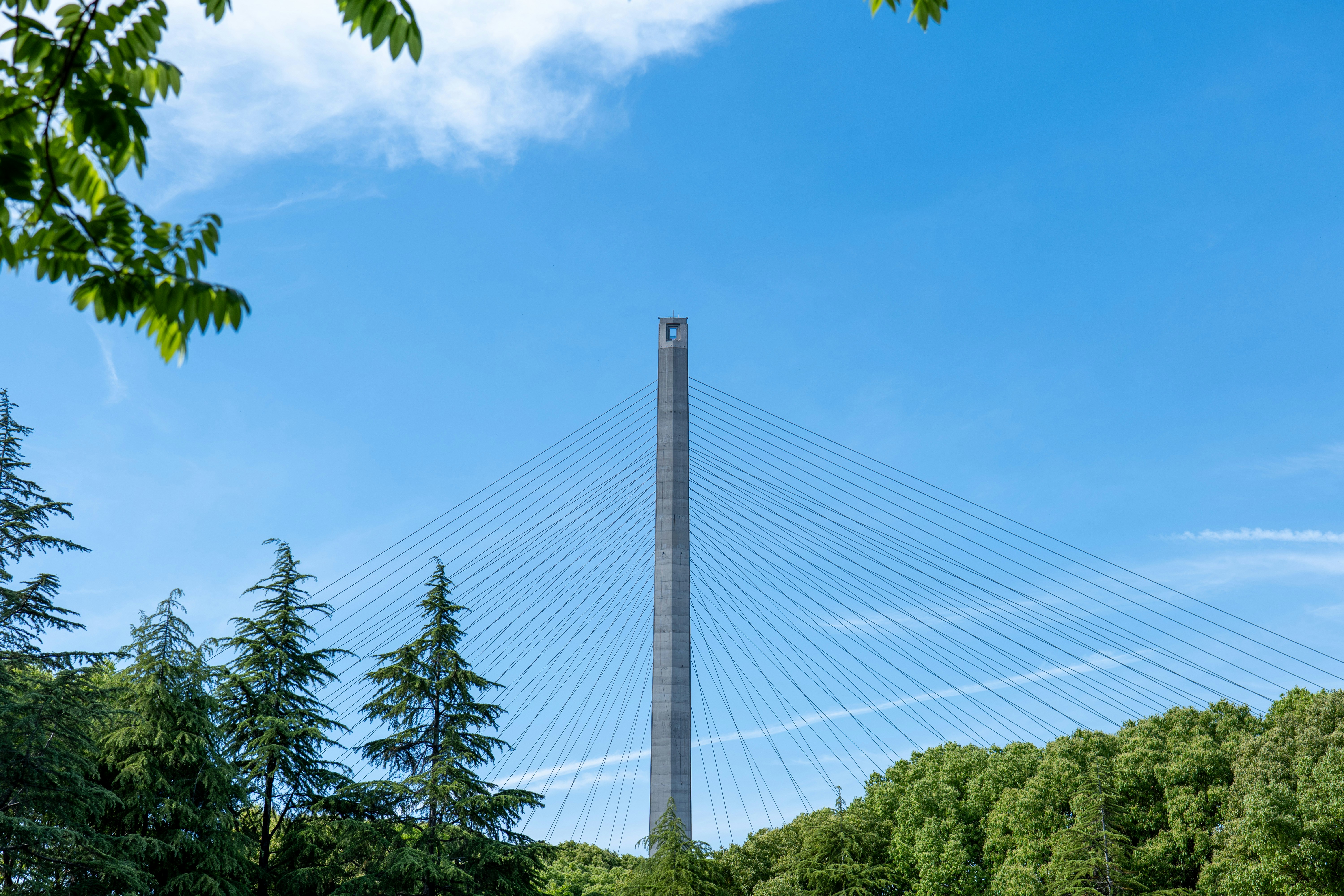 Top 10 Empresas para Power BI en Tolosa