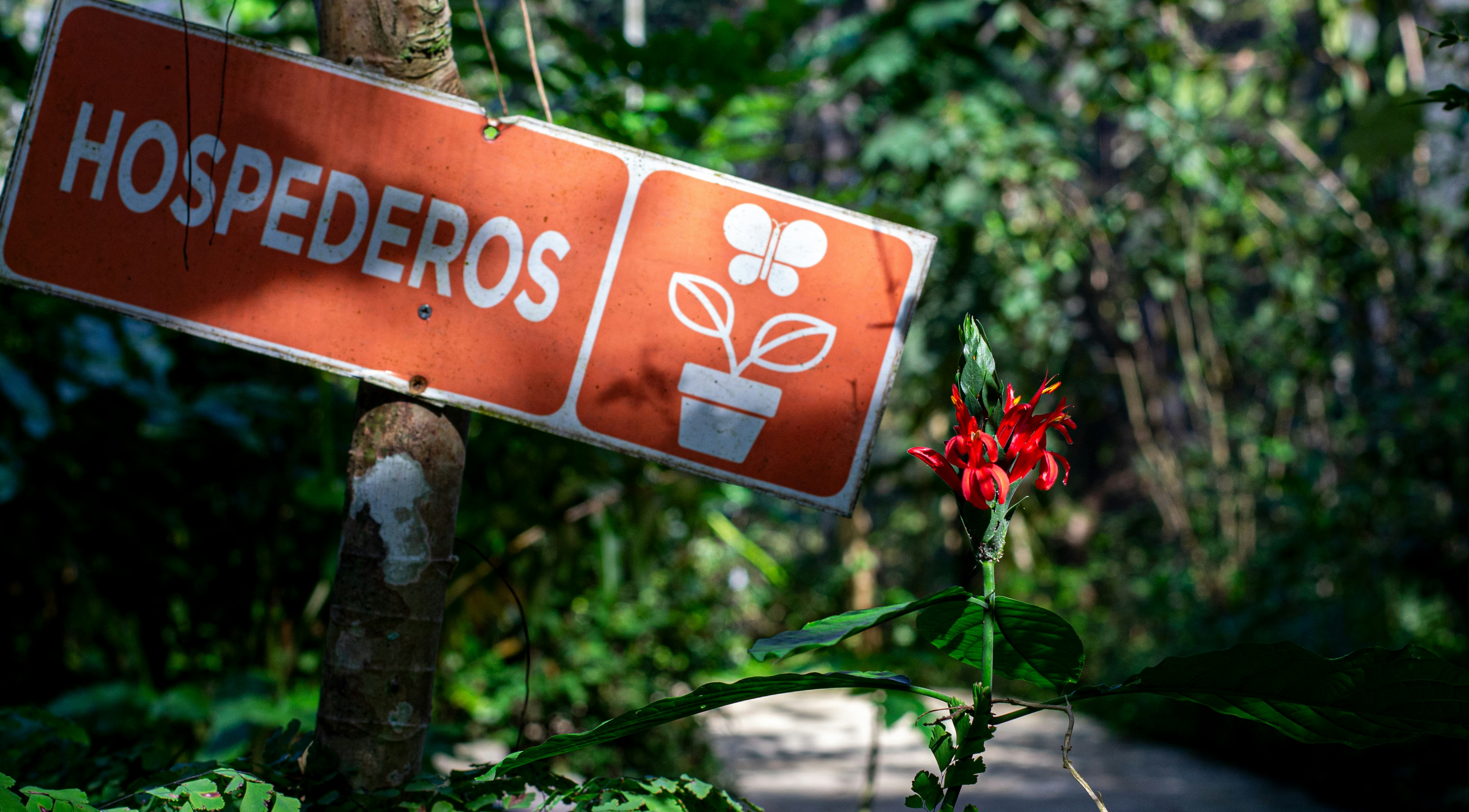 Las 10 mejores empresas para la subcontratación de servicios de programación en Ciempozuelos