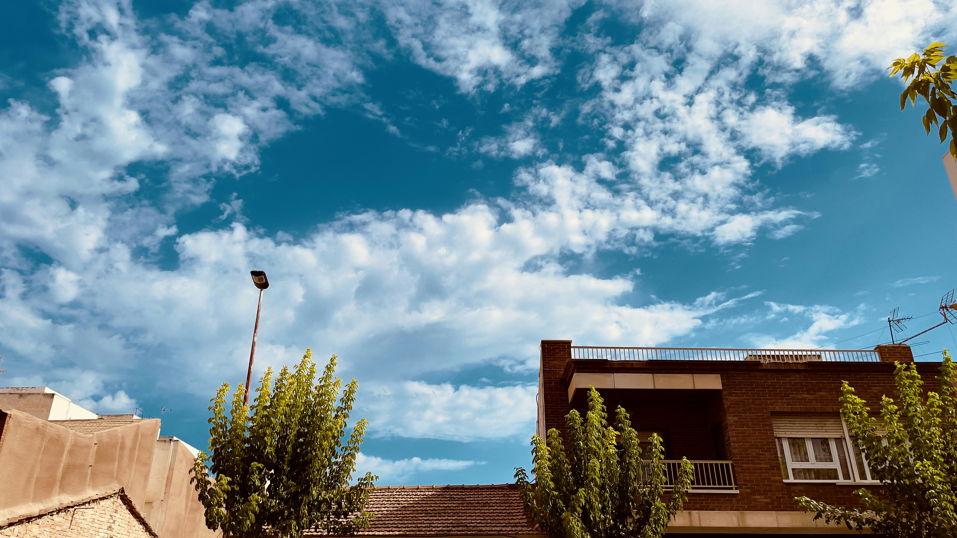 Mejores 3 empresas de servicios de software en Torrevieja