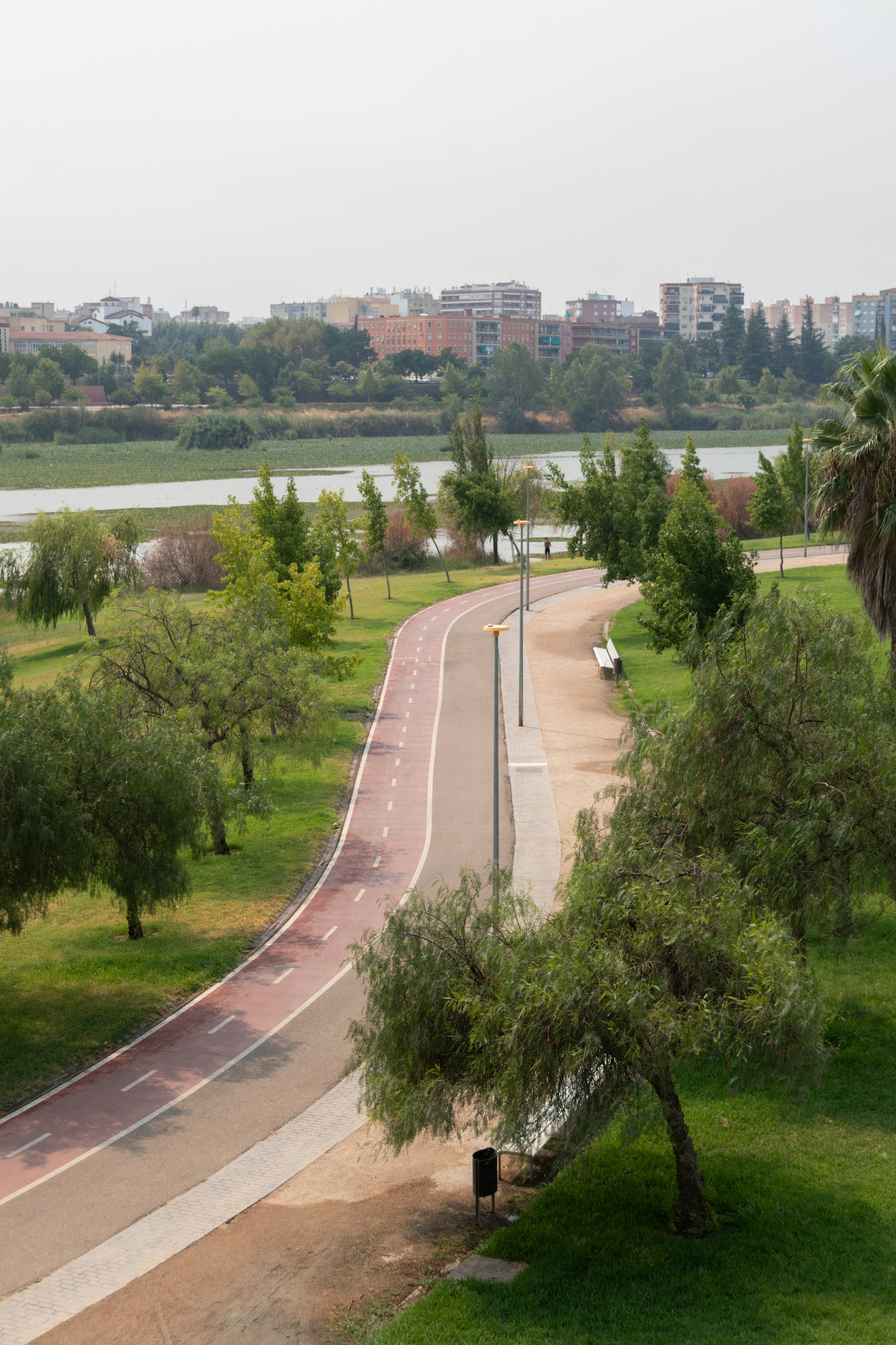 Top 5 Compañías de soluciones de software web en Badajoz