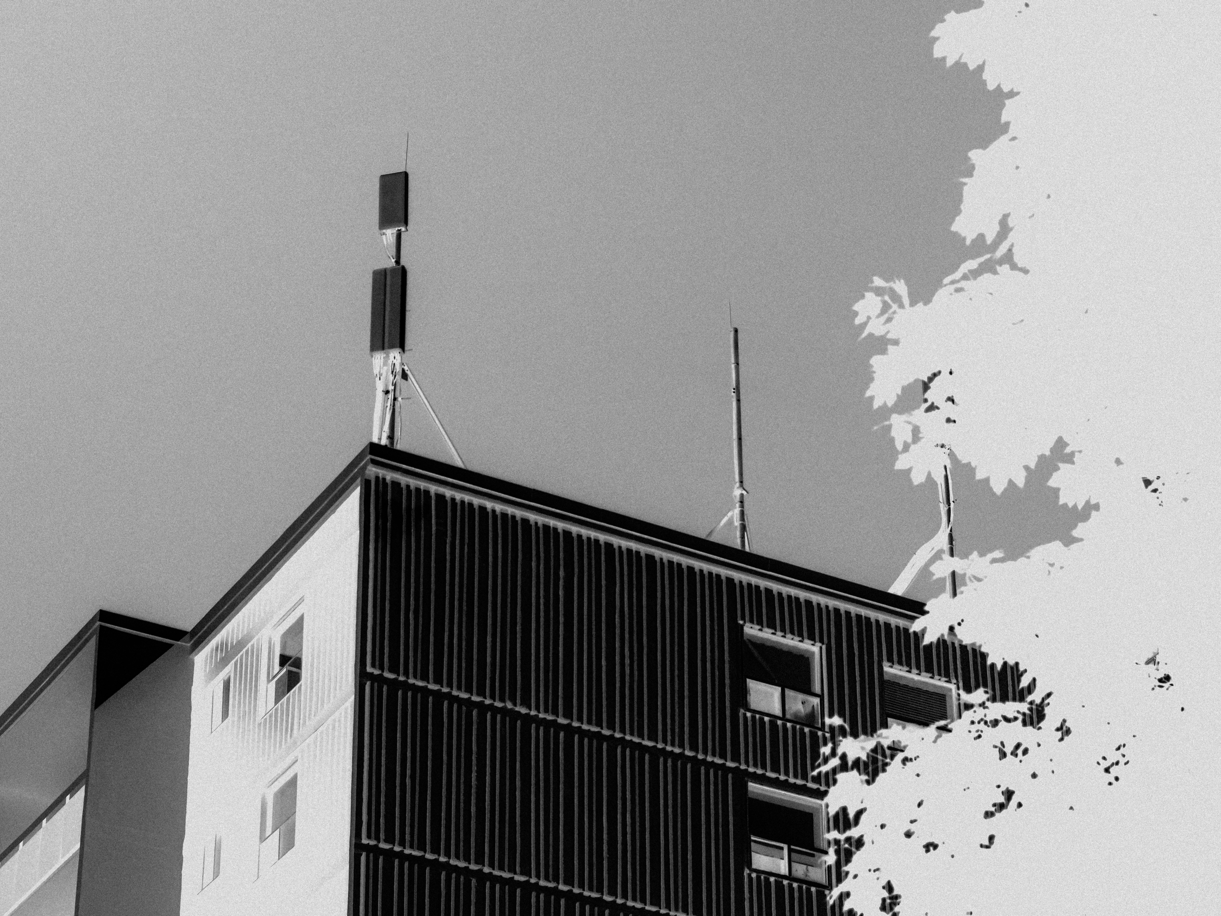 Top 20 empresas para servicios de desarrollo de n8n en Barañáin