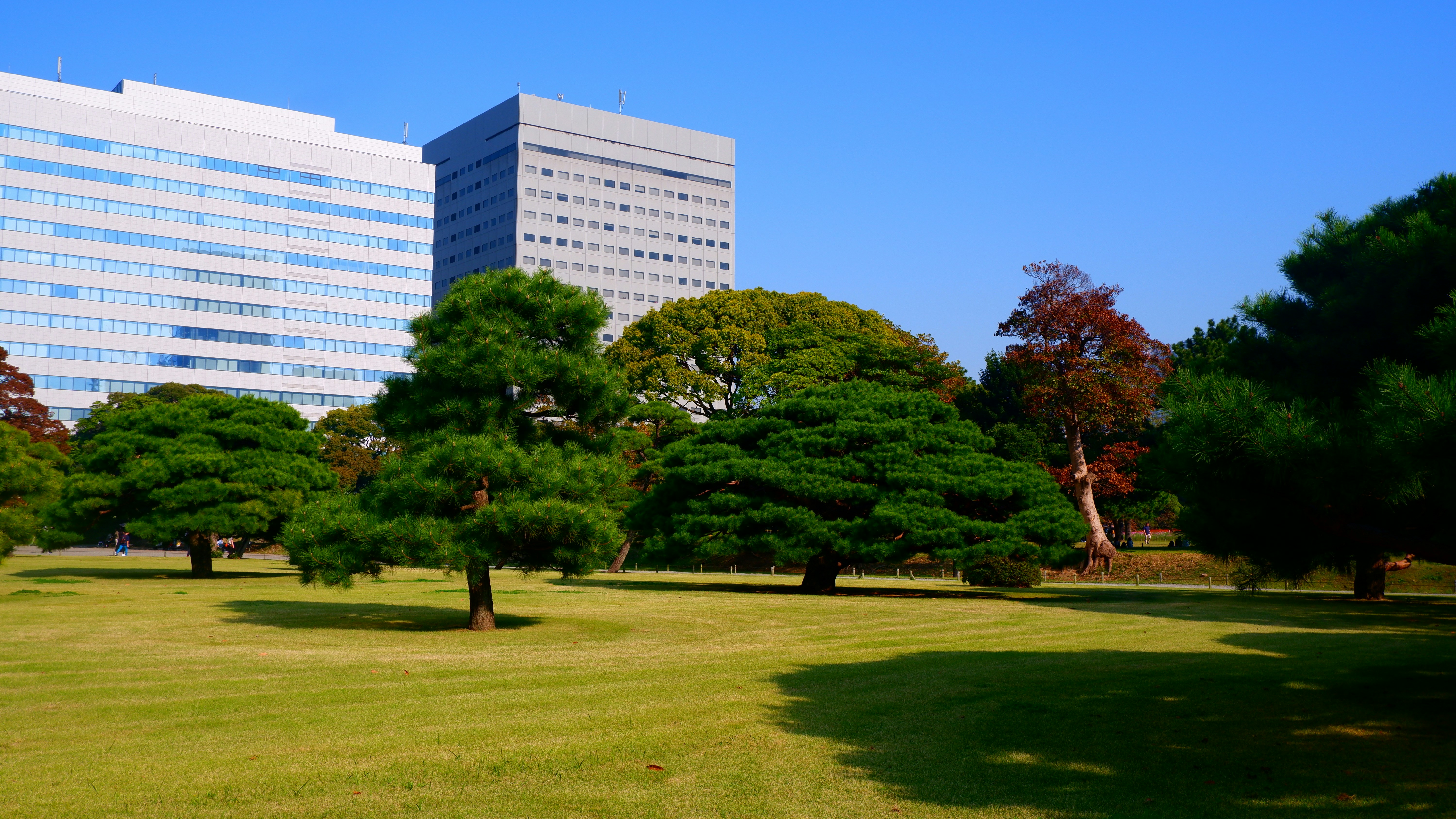 Mejores 3 empresas para desarrollo de software en Totana