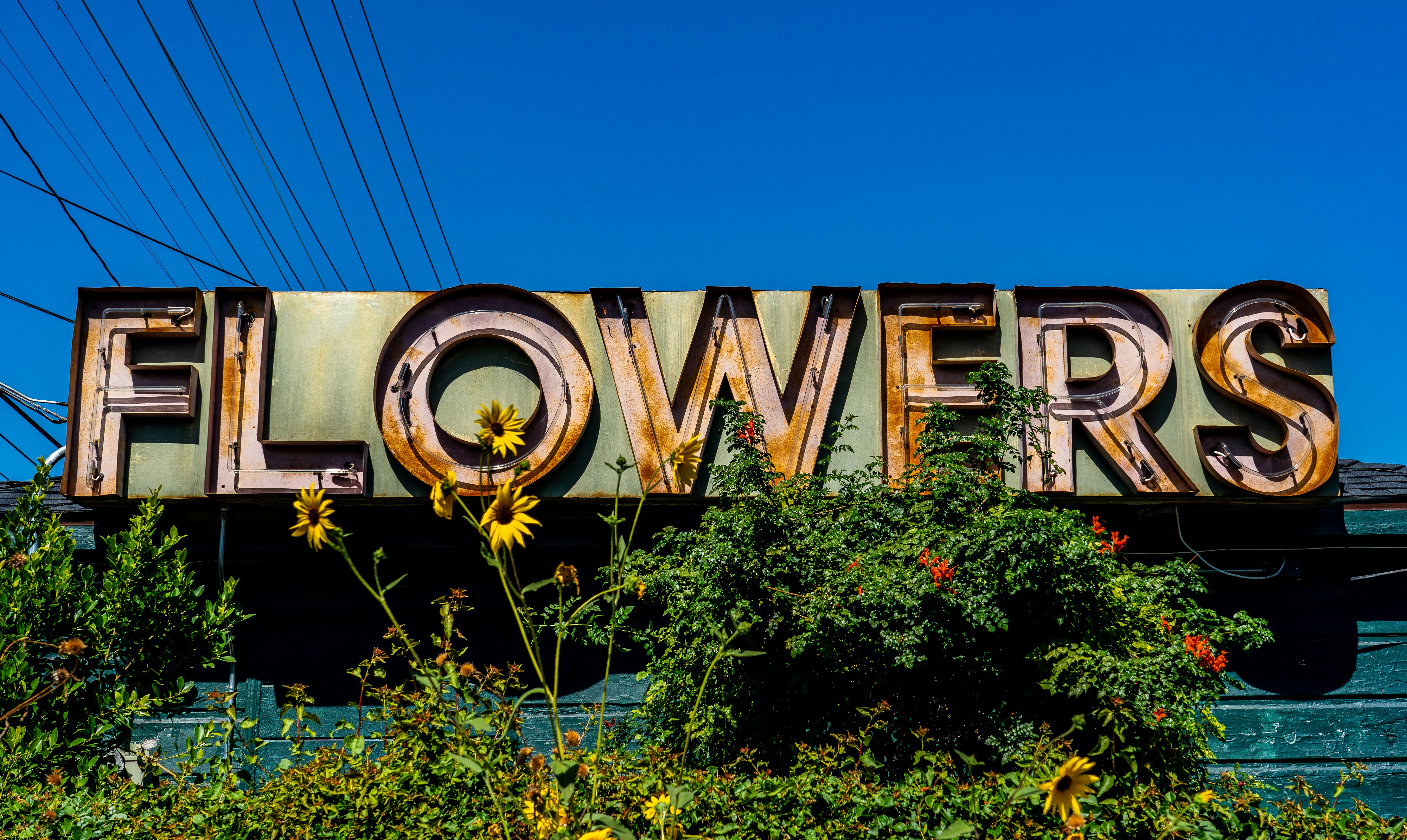 Top 15 Empresas para Power BI en Ávila