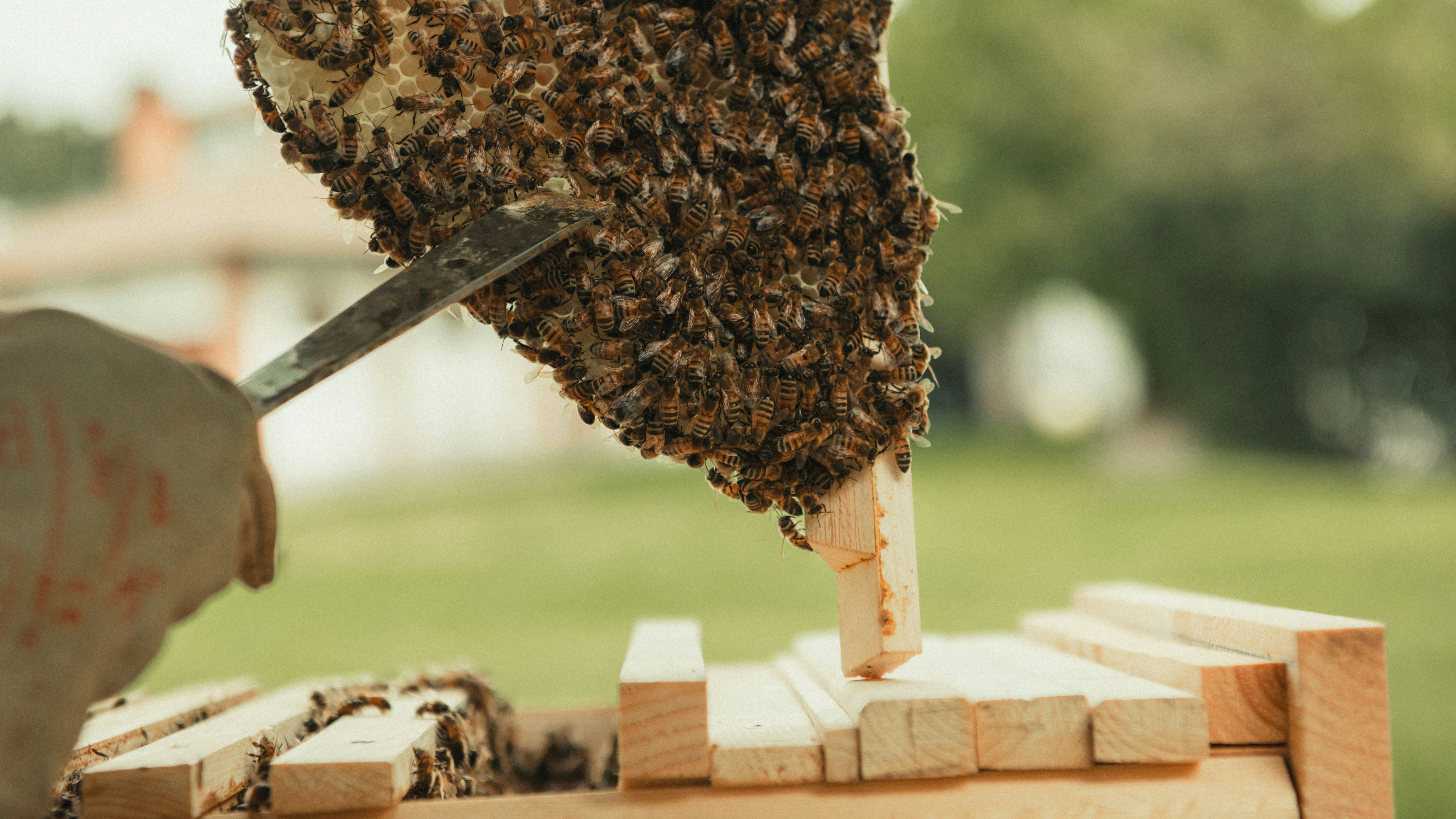 Mejores 50 empresas para integración de API para sistemas heredados en Madrid