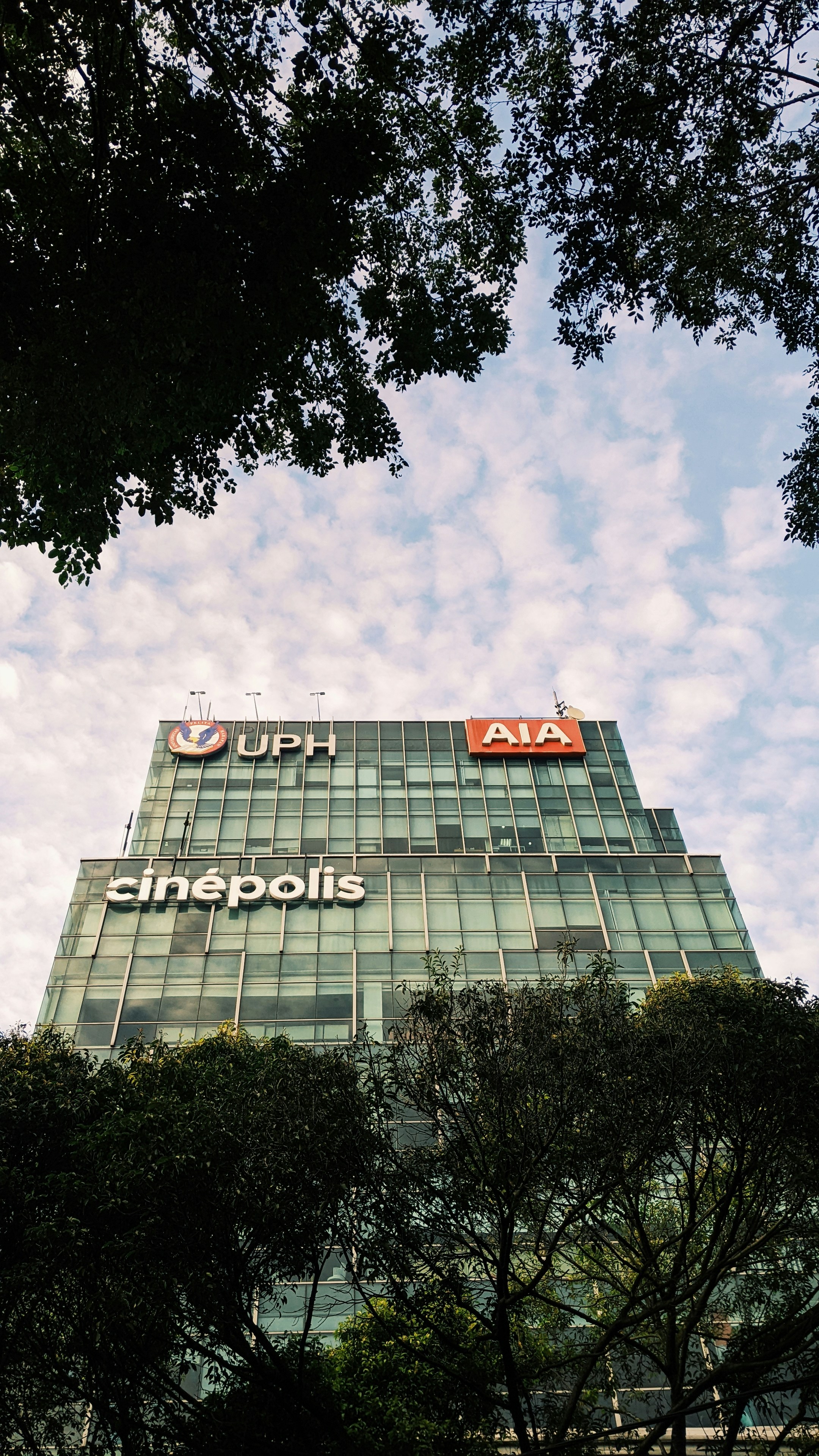 Top 20 Empresas para unificar aplicaciones de negocios en un sistema en Málaga 2026