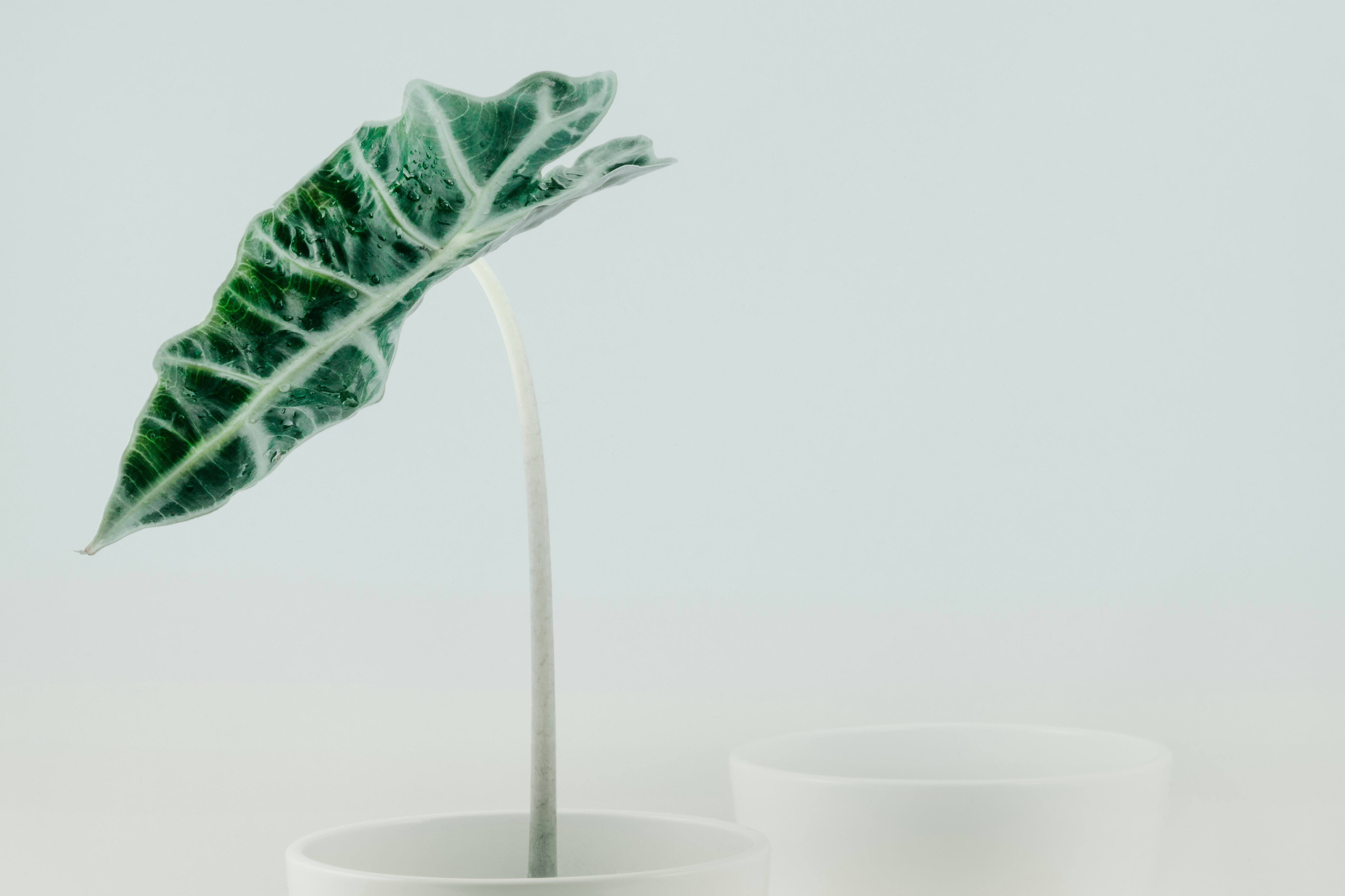 Mejores 5 empresas para el desarrollo de ERP personalizado para la fabricación en Córdoba