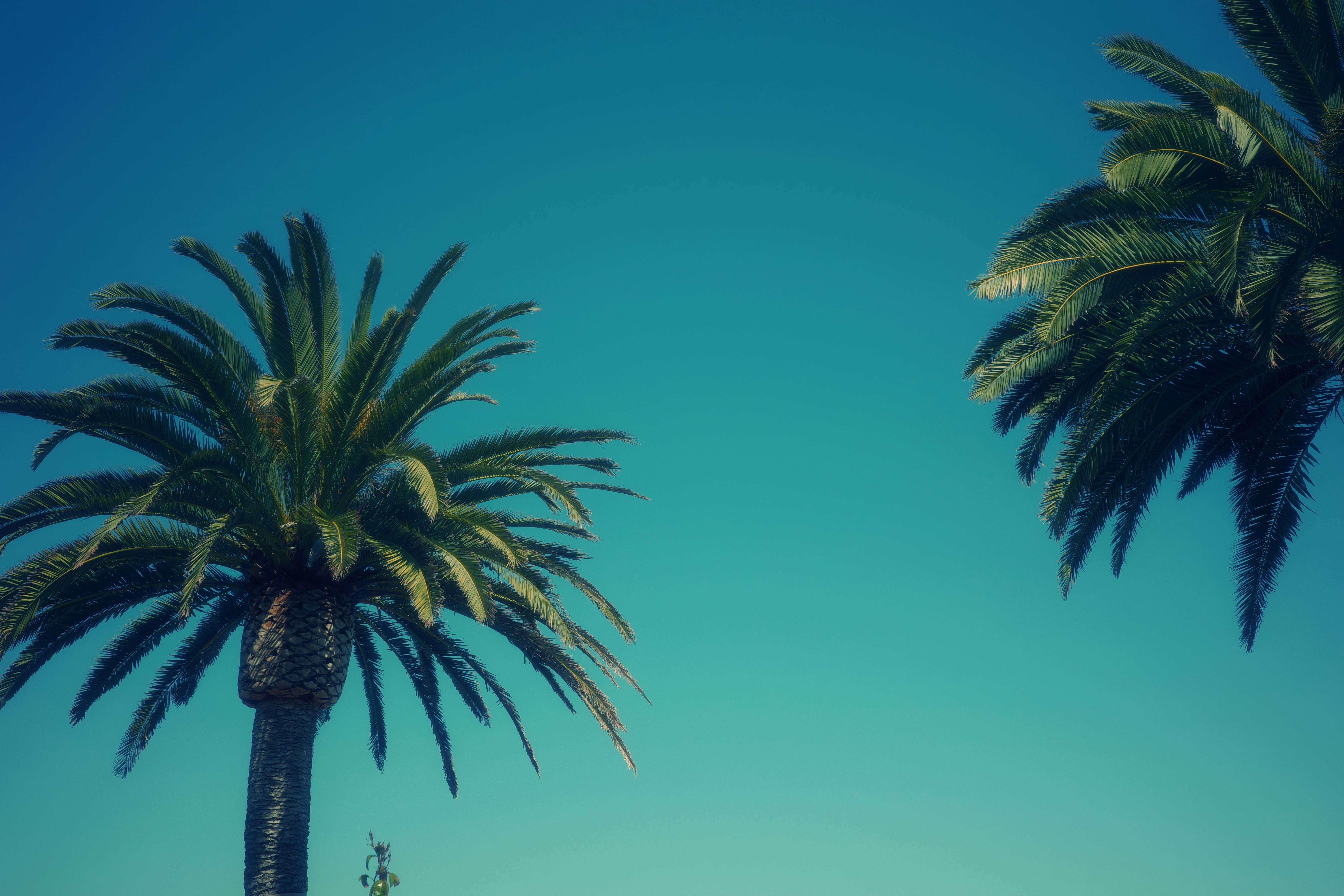 Mejores 100 empresas para el desarrollo de aplicaciones móviles en Santa Cruz de Tenerife