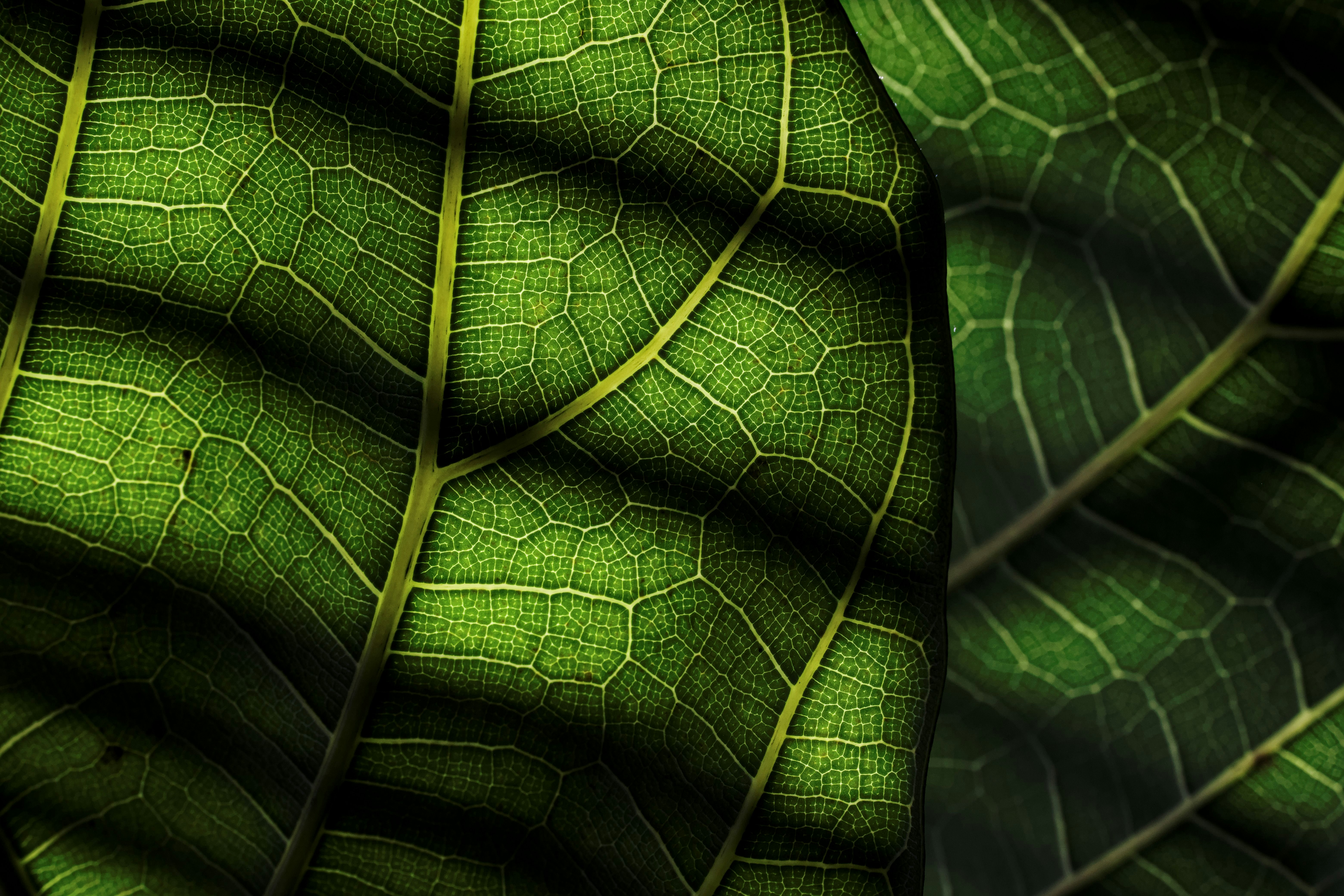 Las 30 mejores empresas para pasar de las hojas de cálculo a la automatización en Madrid 2026