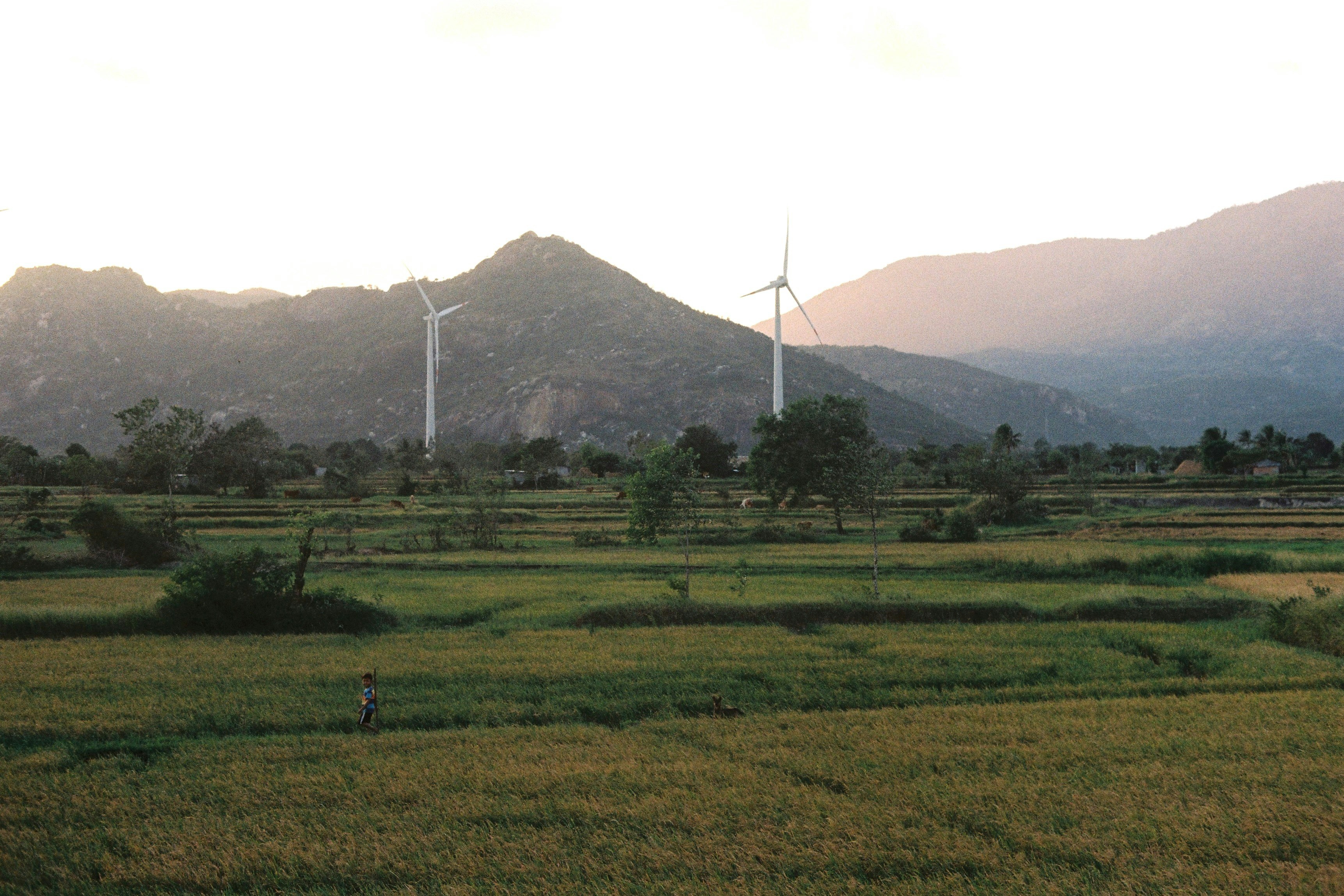 Top 100 Empresas para Power BI en Cambados