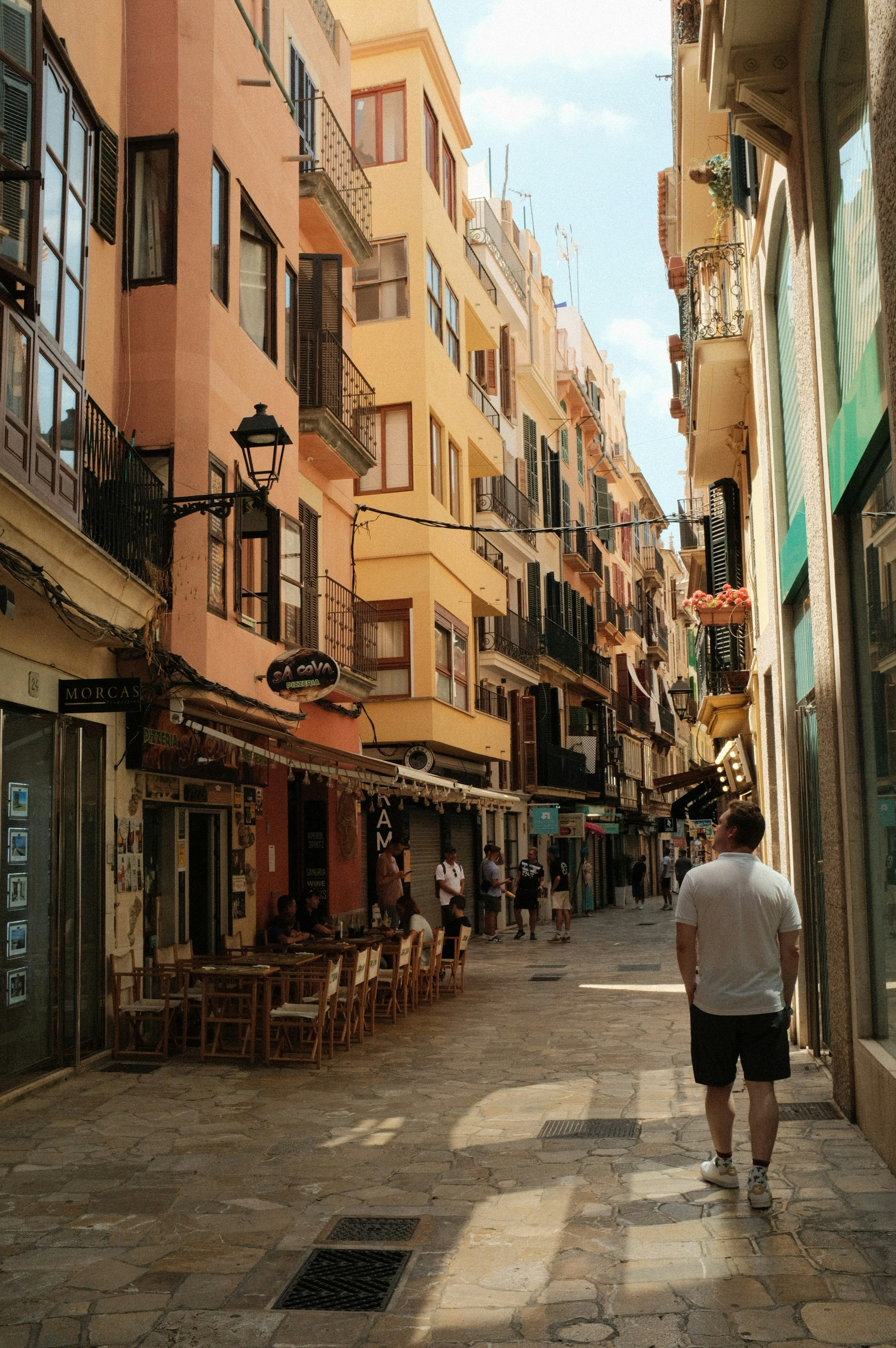 Servicios profesionales de listado en la tienda GPT en Palma