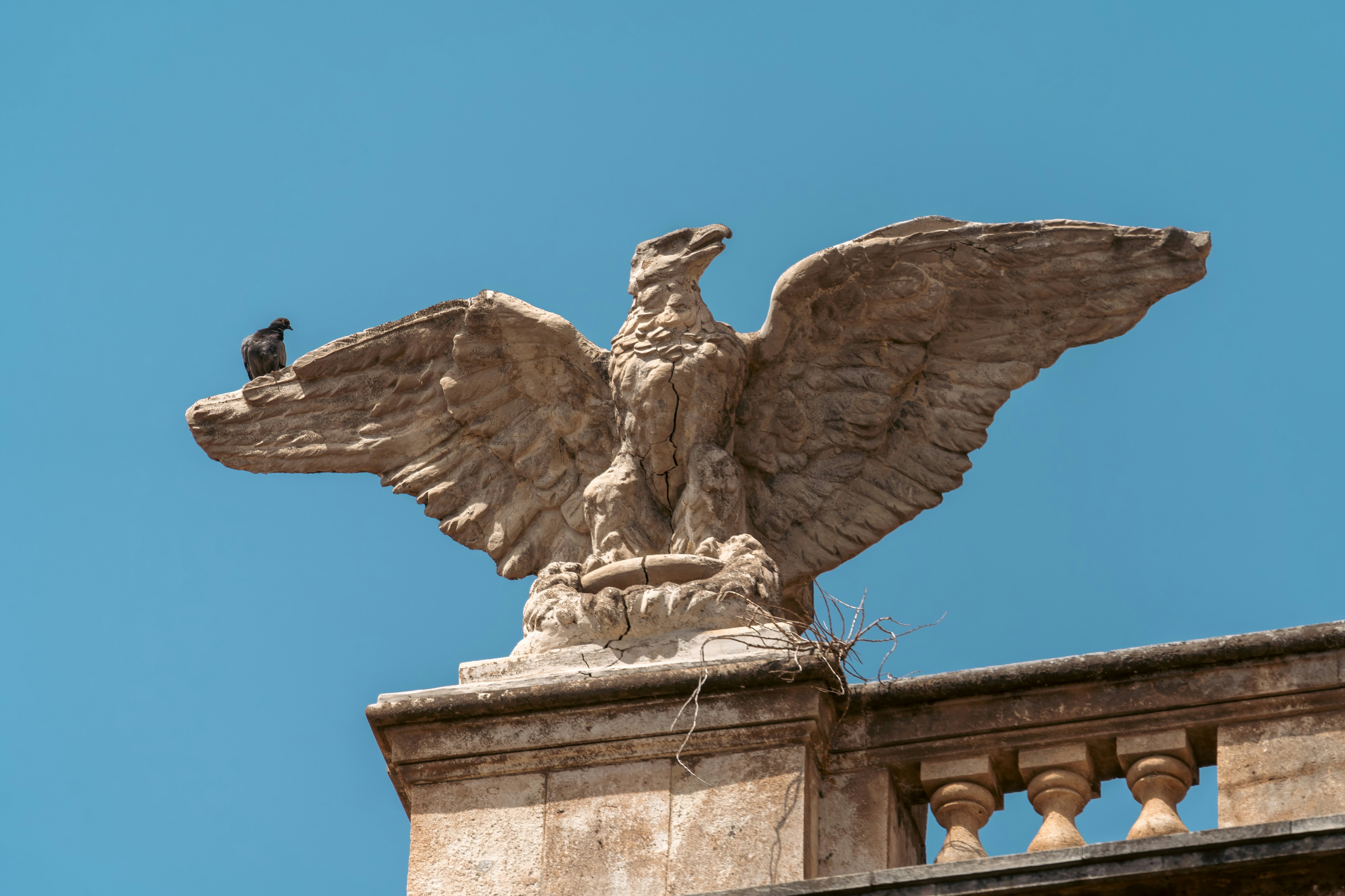 Top 10 Expertos en consultoría de software en Águilas