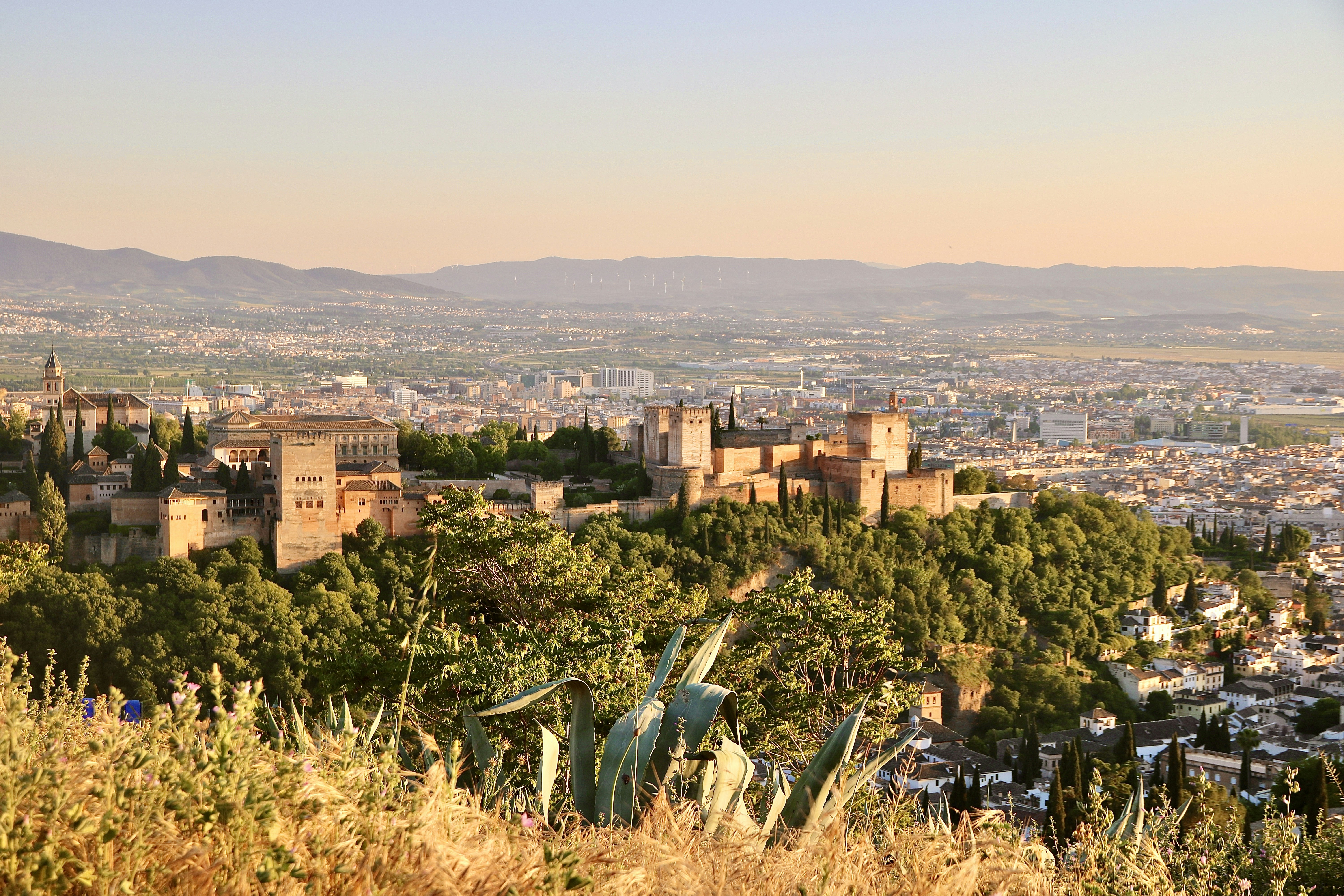 Top 10 expertos en cómo publicar GPT en Granada