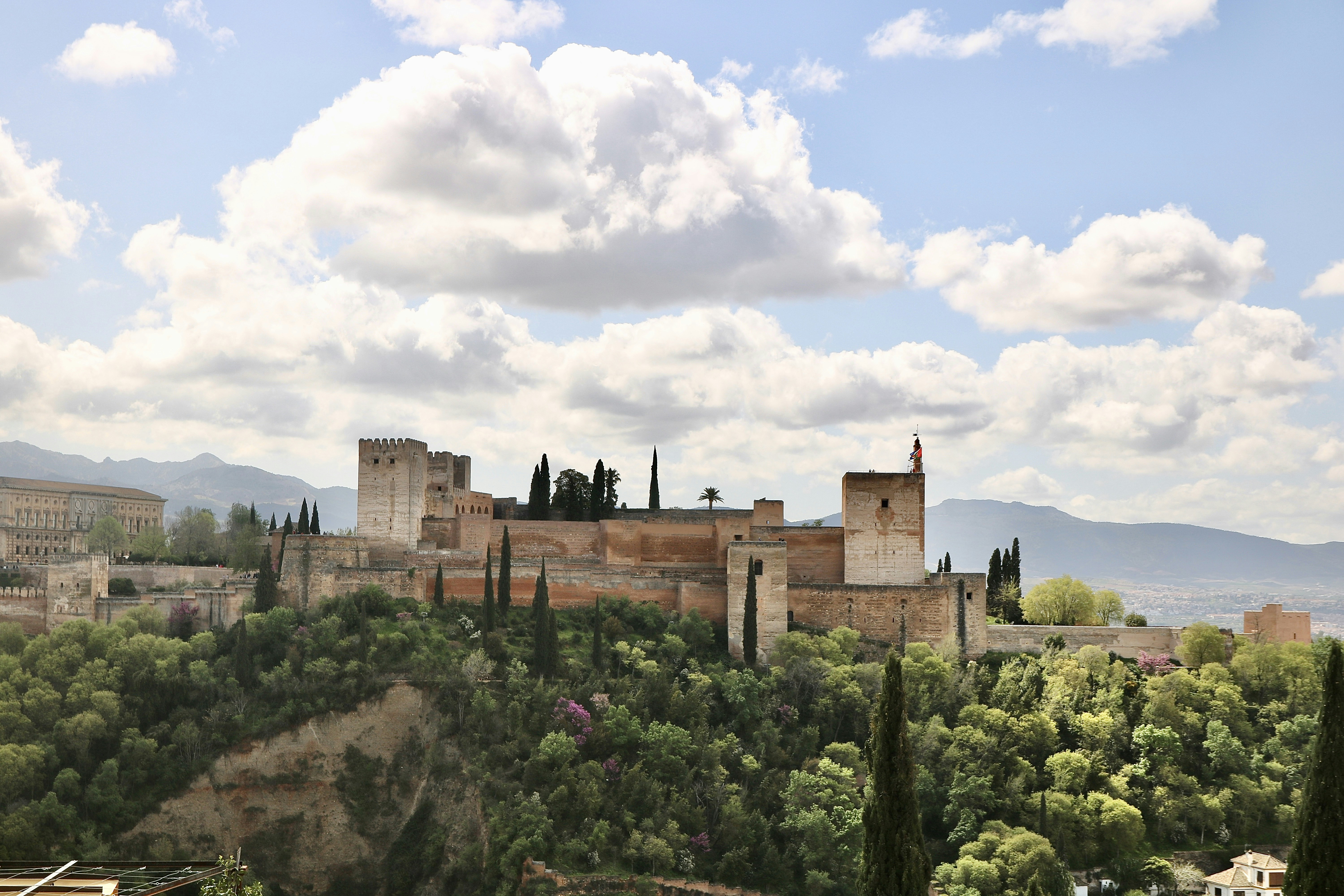 Los 100 mejores expertos en avatar virtual para empresa en Granada