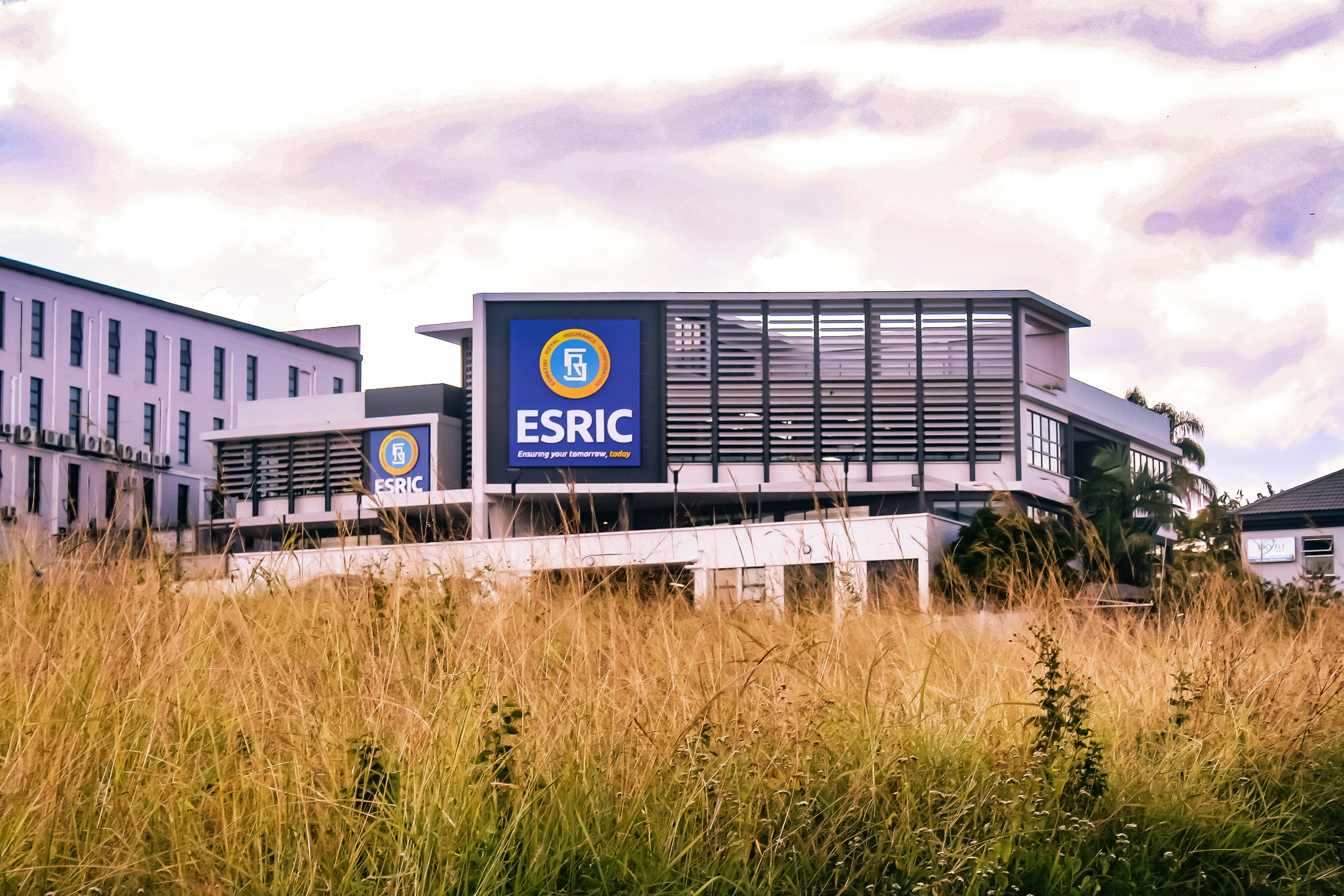 Top 100 Expertos en servicios de desarrollo n8n en Elche