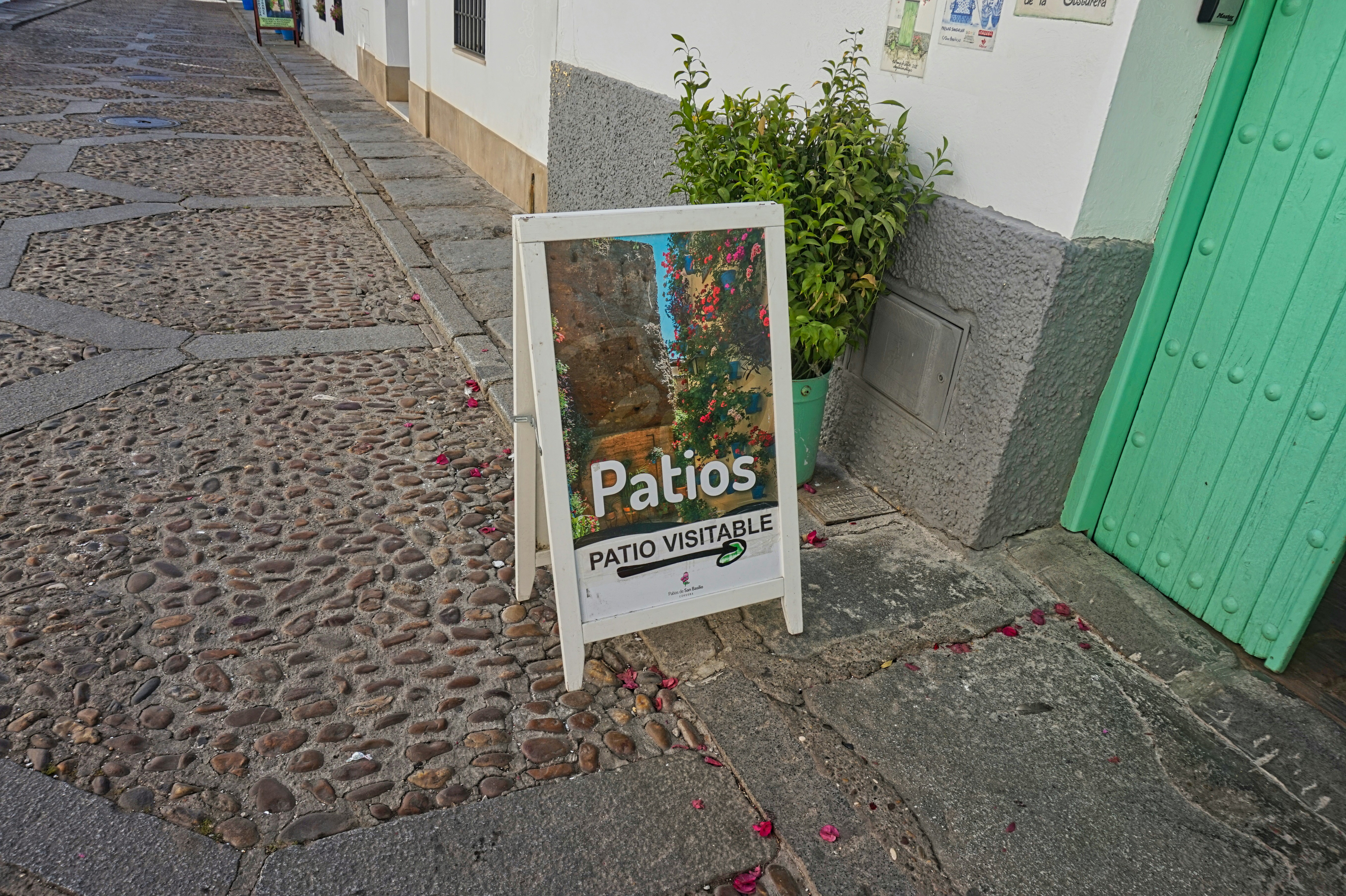 Los 100 mejores expertos en n8n en Paterna