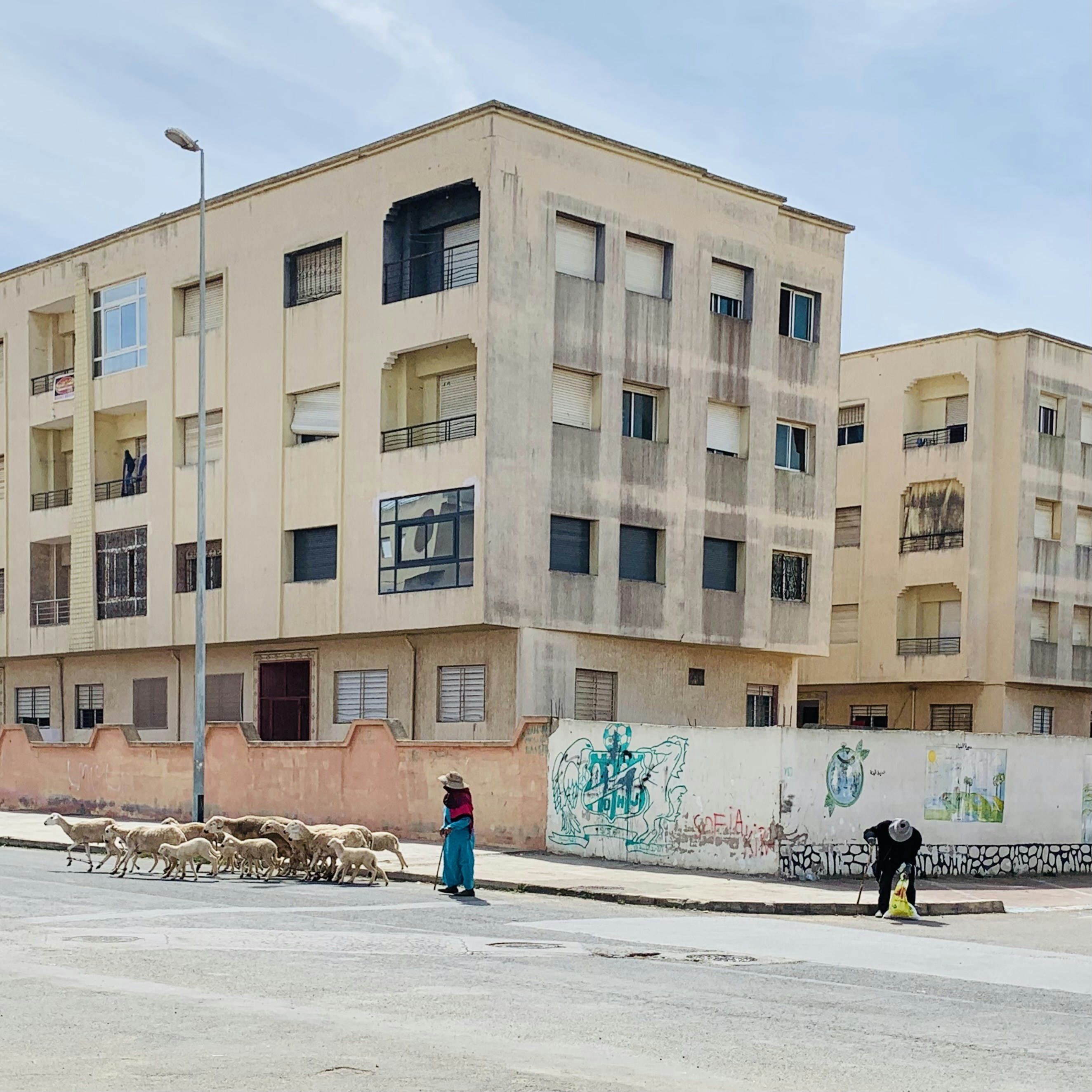 Los 100 mejores expertos en portal de inquilinos con renovaciones de alquiler en Santa Cruz de Tenerife 2026