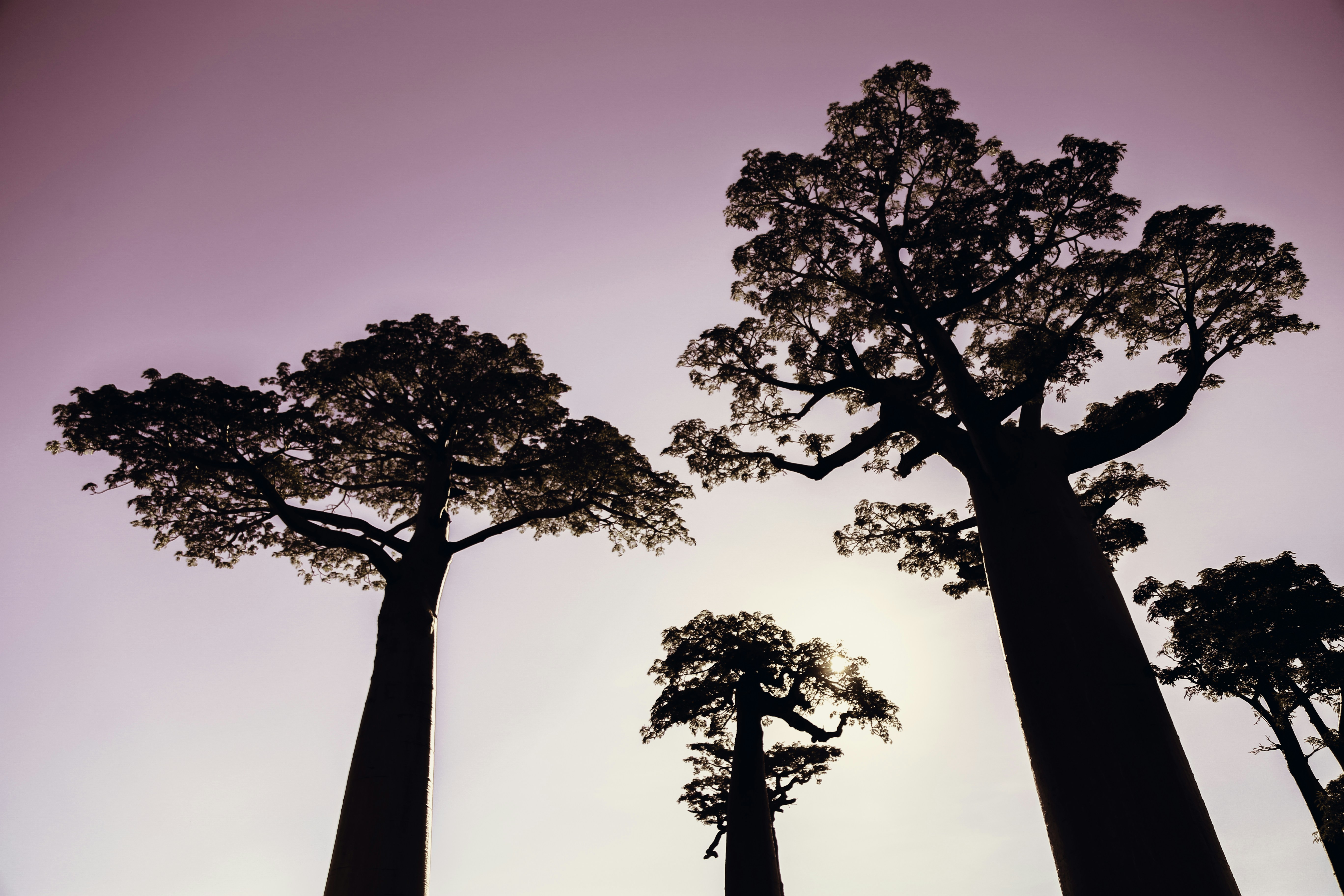 Los 3 mejores expertos en n8n en Alberite