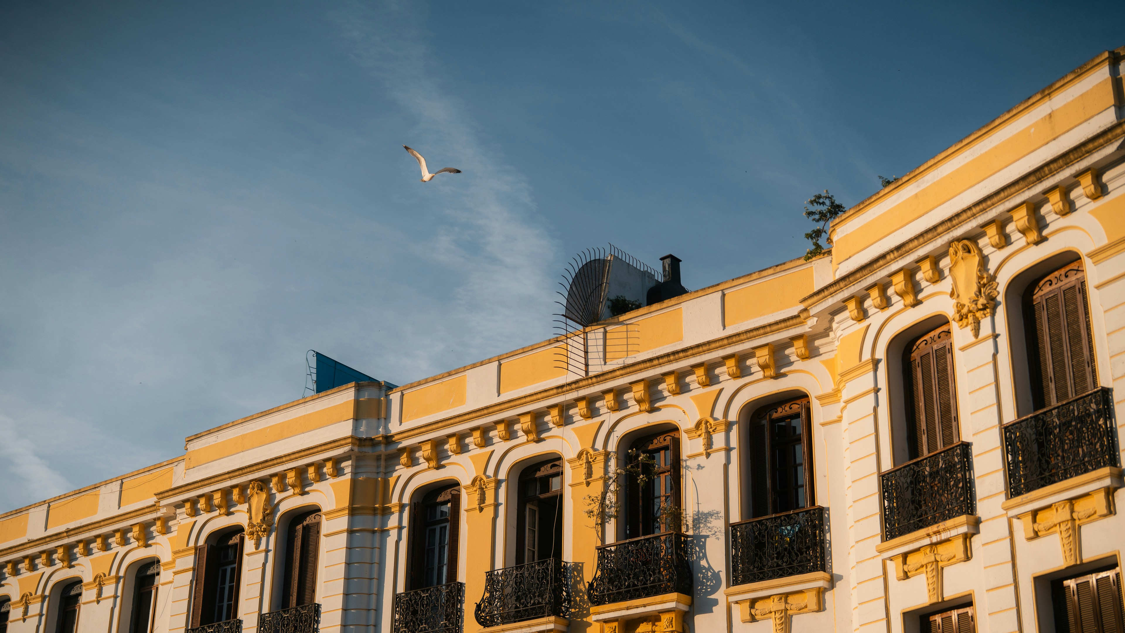 Los 30 mejores expertos en n8n en Vélez-Málaga