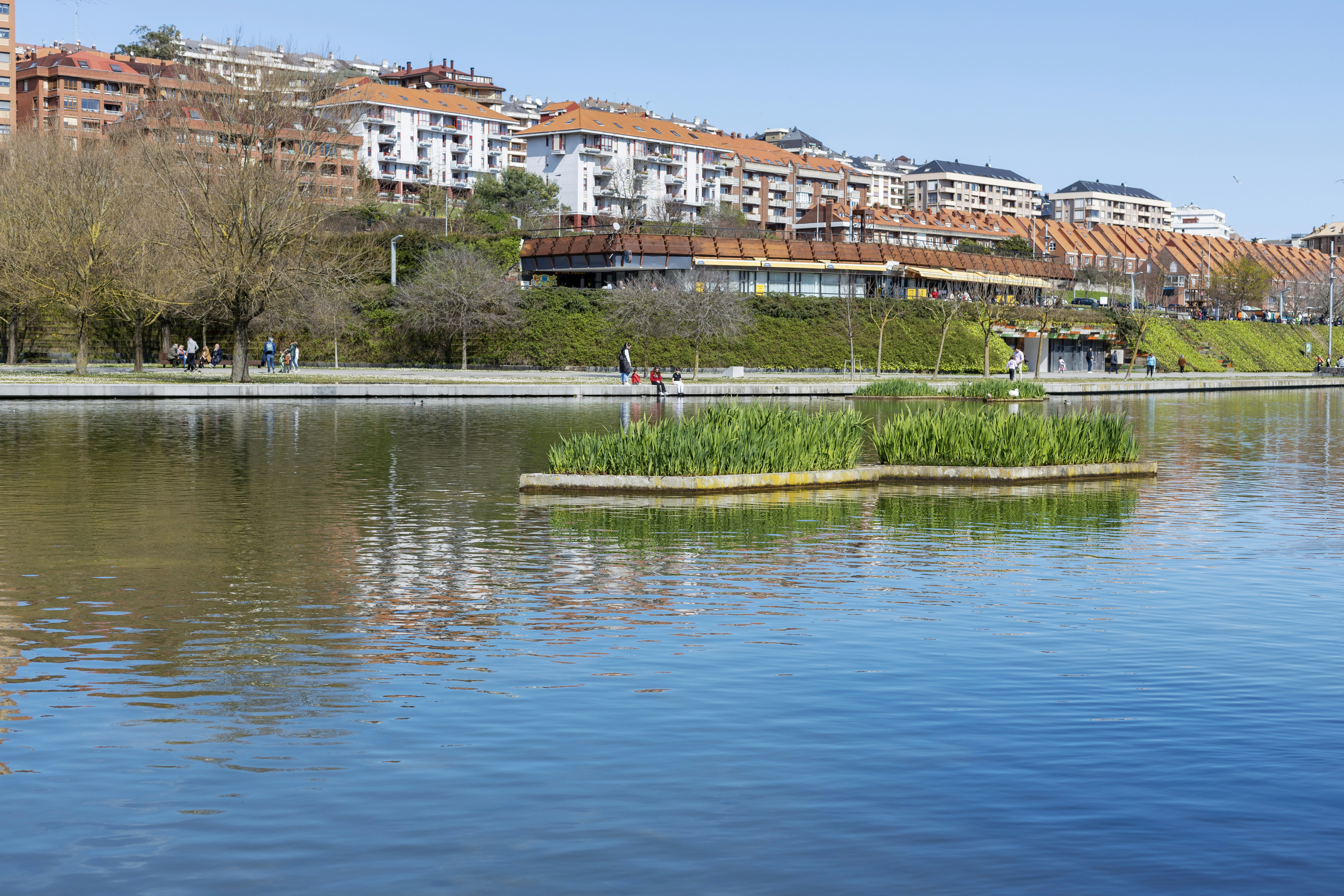 Los 30 principales expertos en desarrollo de software en Laguna de Duero