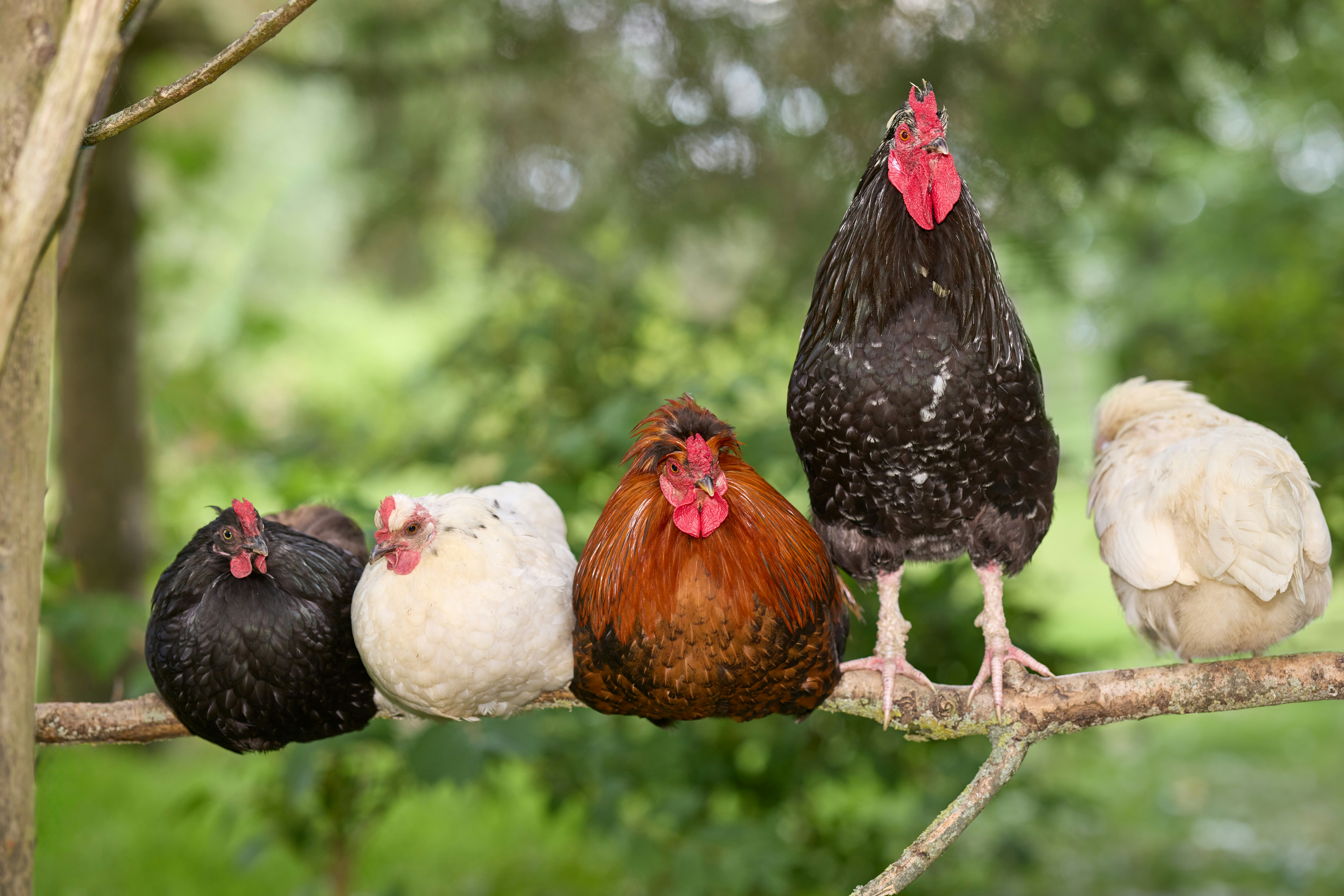 Top 5 Expertos en Power BI en Avilés