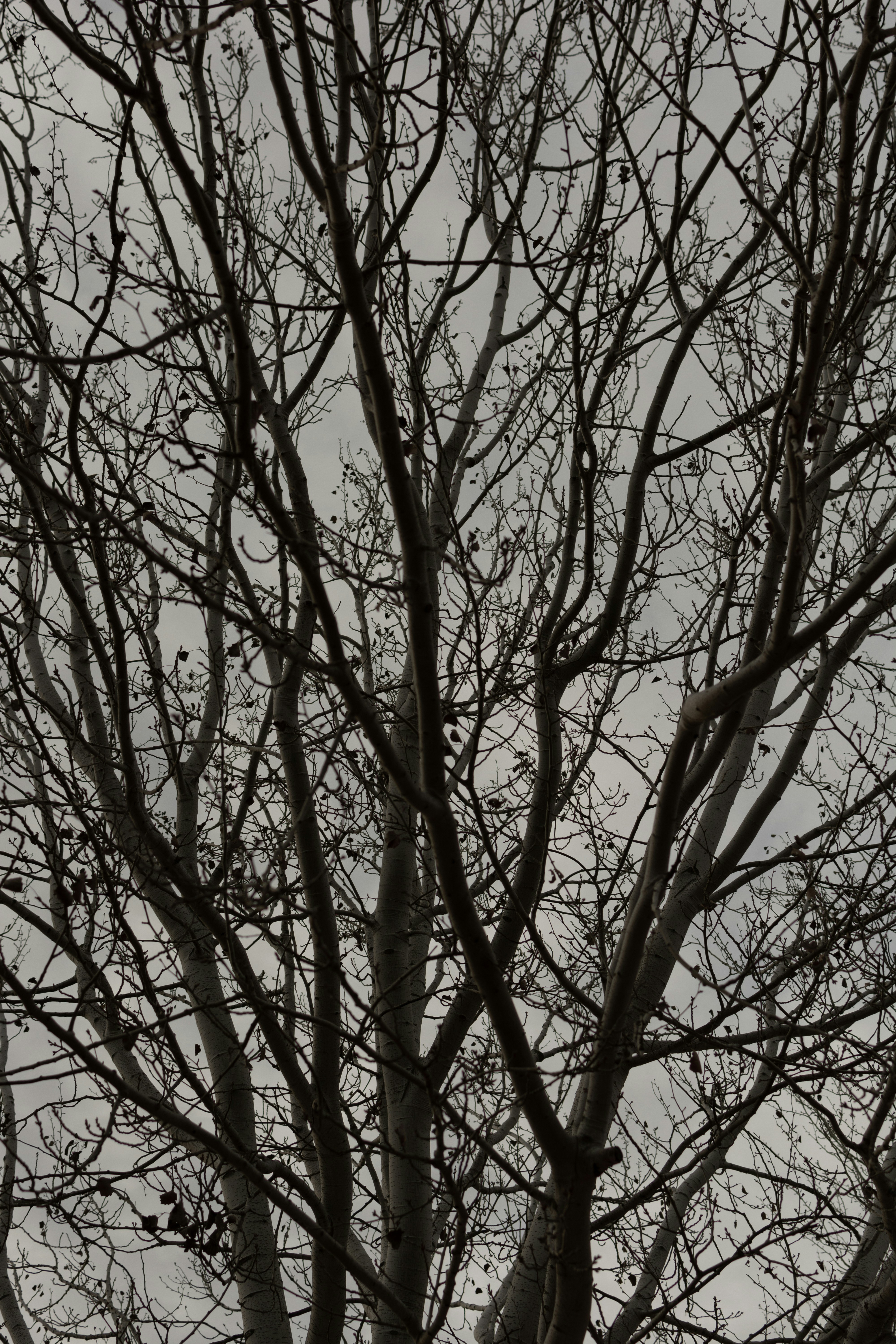 Top 5 Expertos en servicios de Inteligencia de Negocios en Lleida