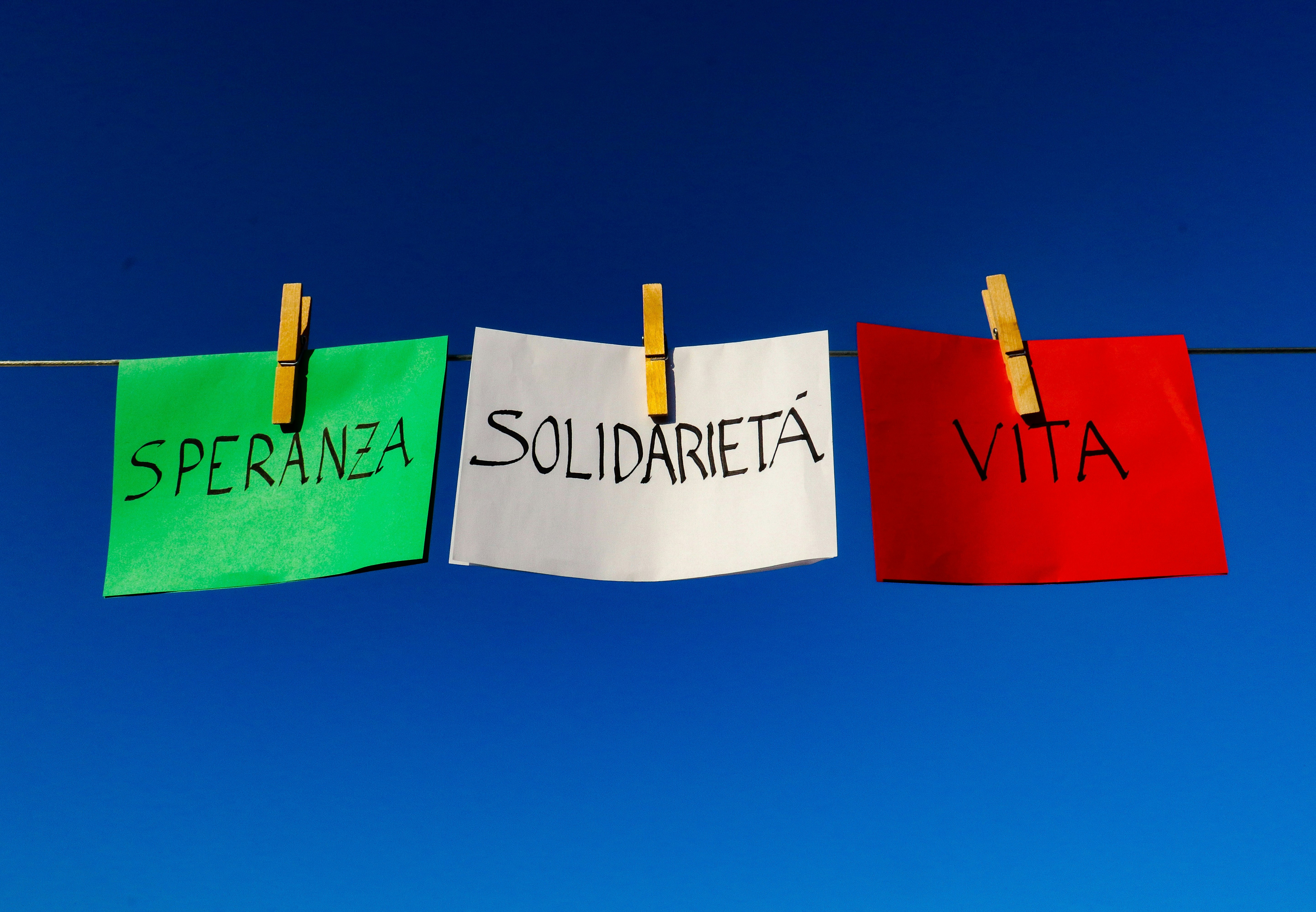 Top 5 Expertos en servicios de software a medida en Rentería