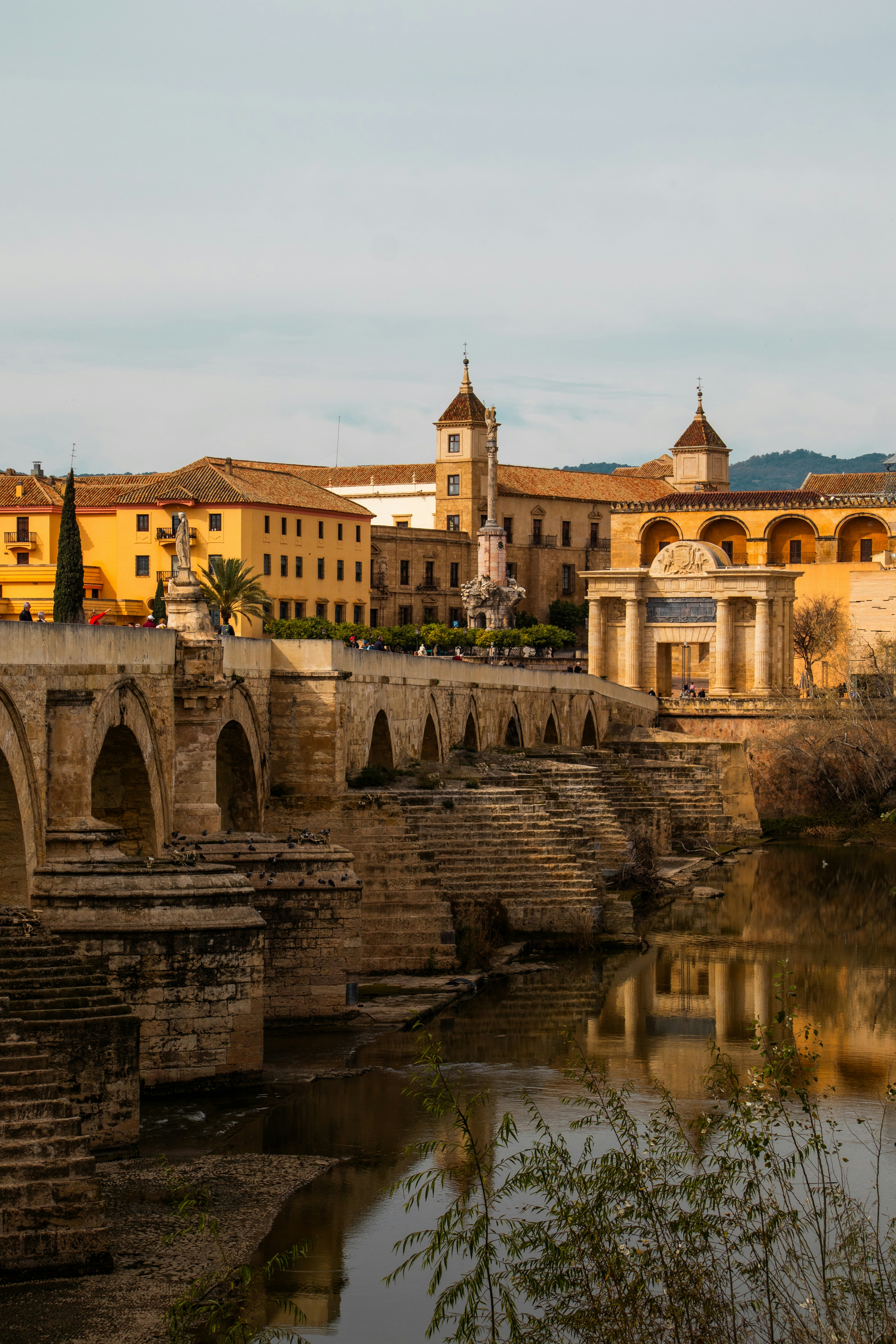 Los 5 mejores expertos en software en Segovia