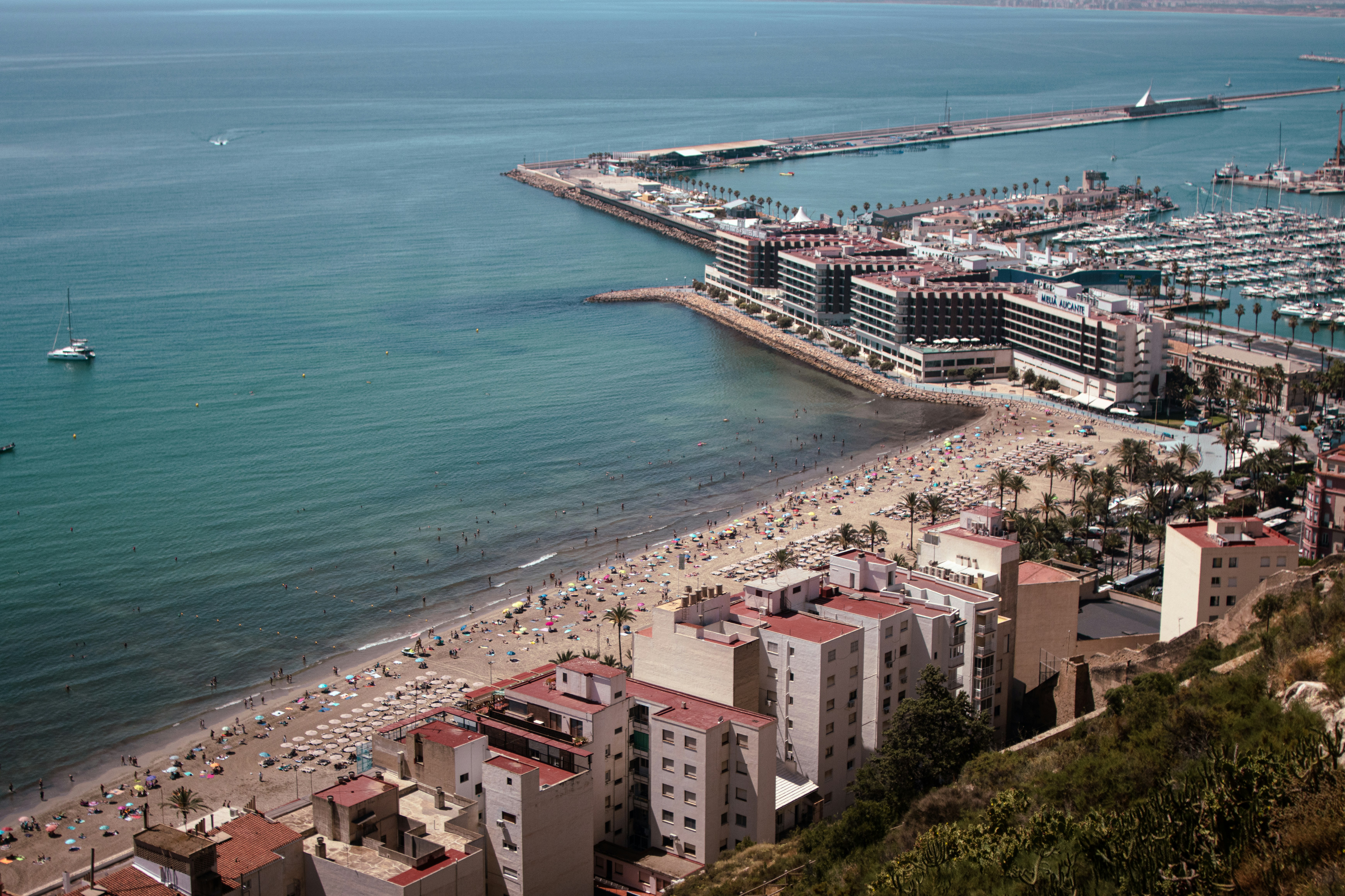 Top 5 Expertos en transmisión de avatar de IA en tiempo real en Alicante