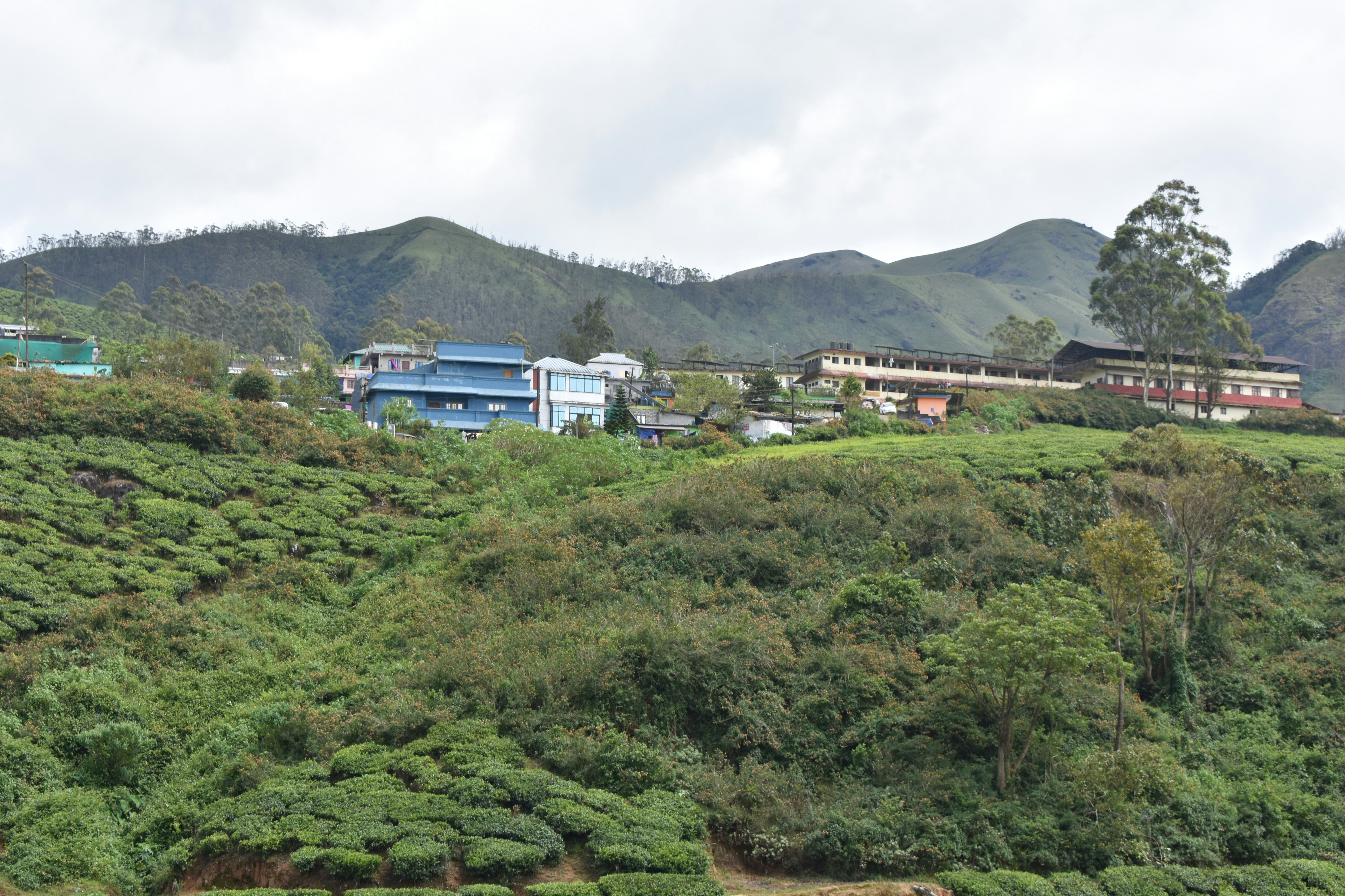 Top 50 Expertos en servicios de desarrollo de n8n en Totana