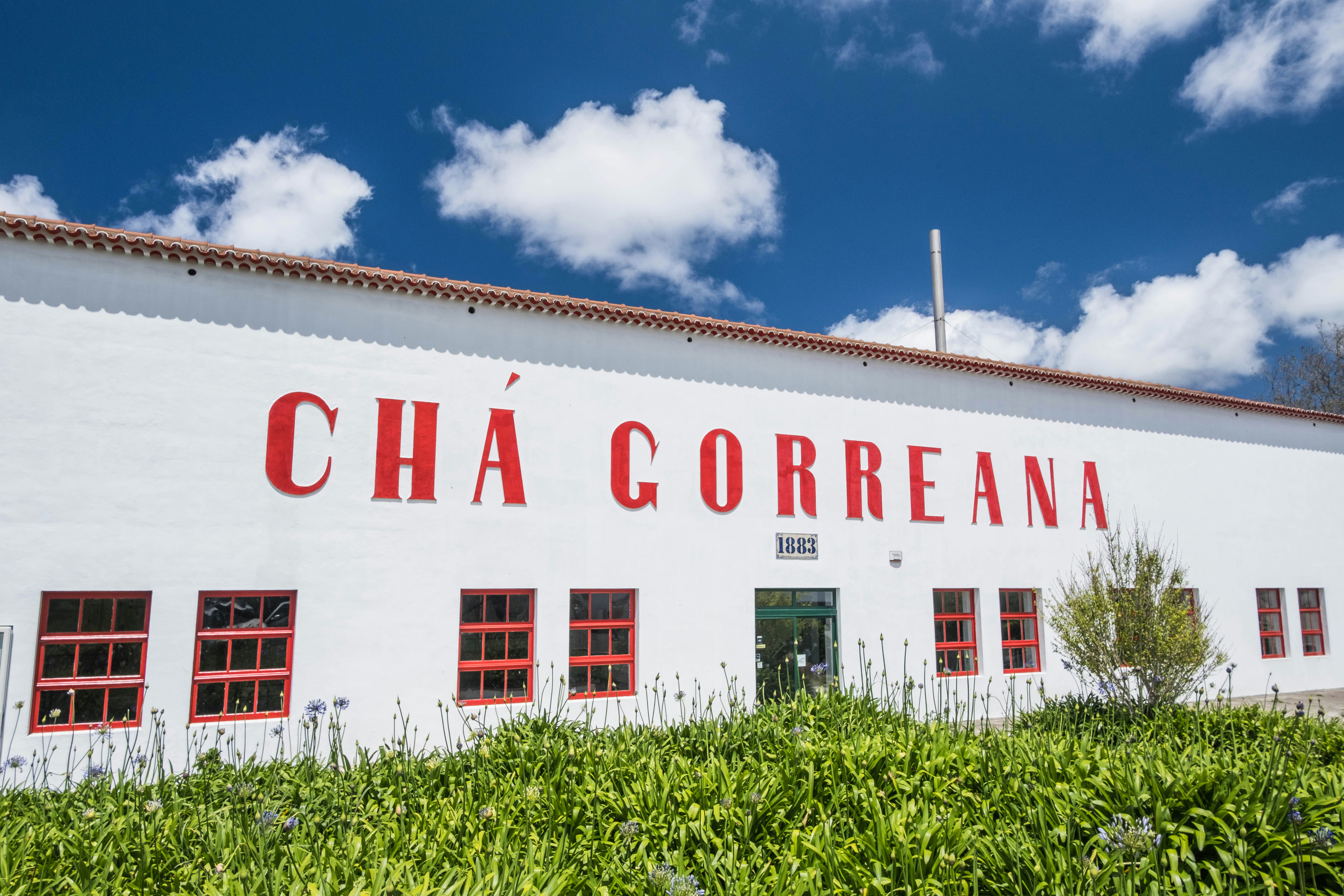 Los 50 mejores expertos en IA AGENCY en Nájera