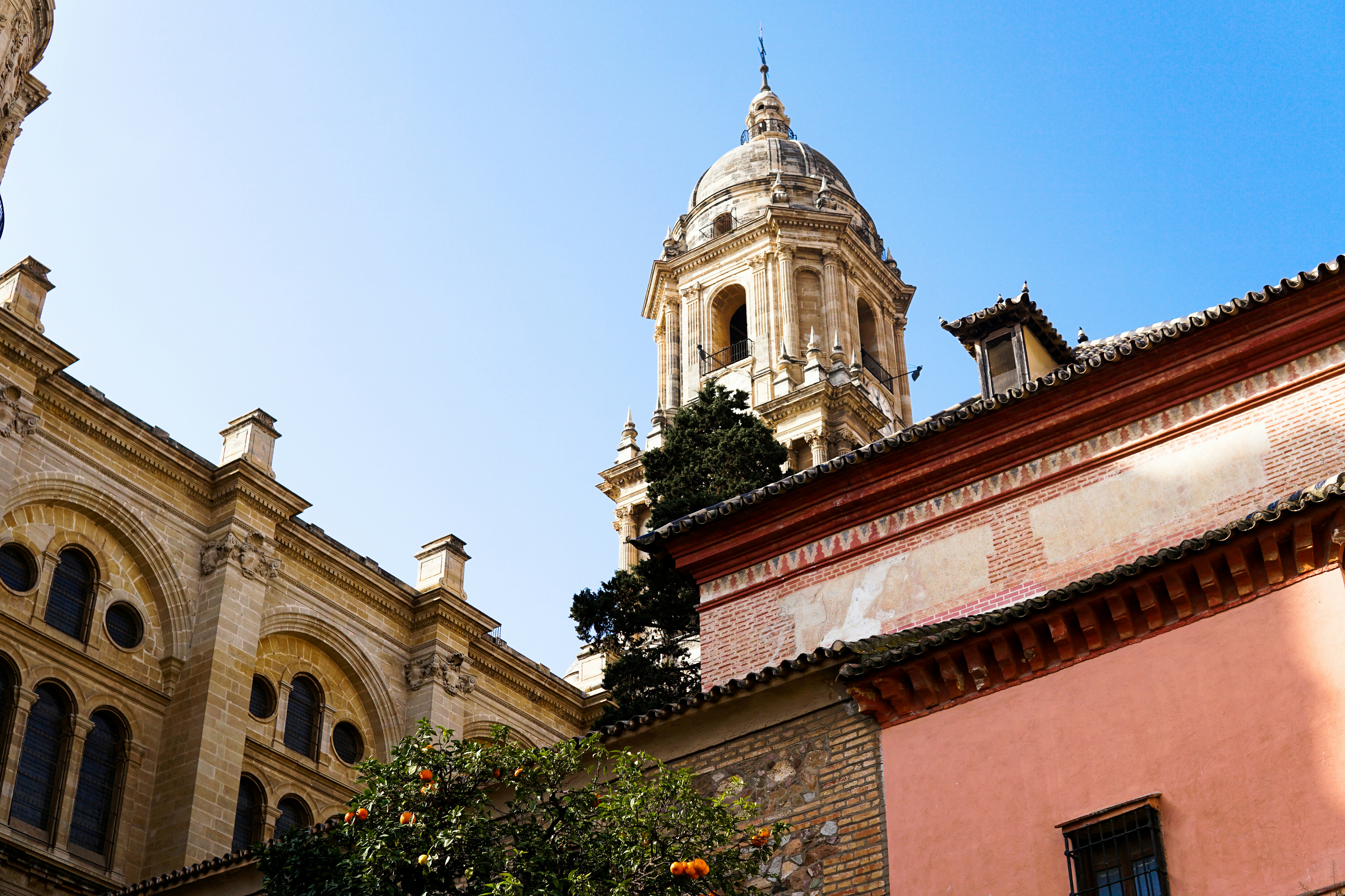Los 50 mejores expertos en RAG para conocimiento interno en Málaga