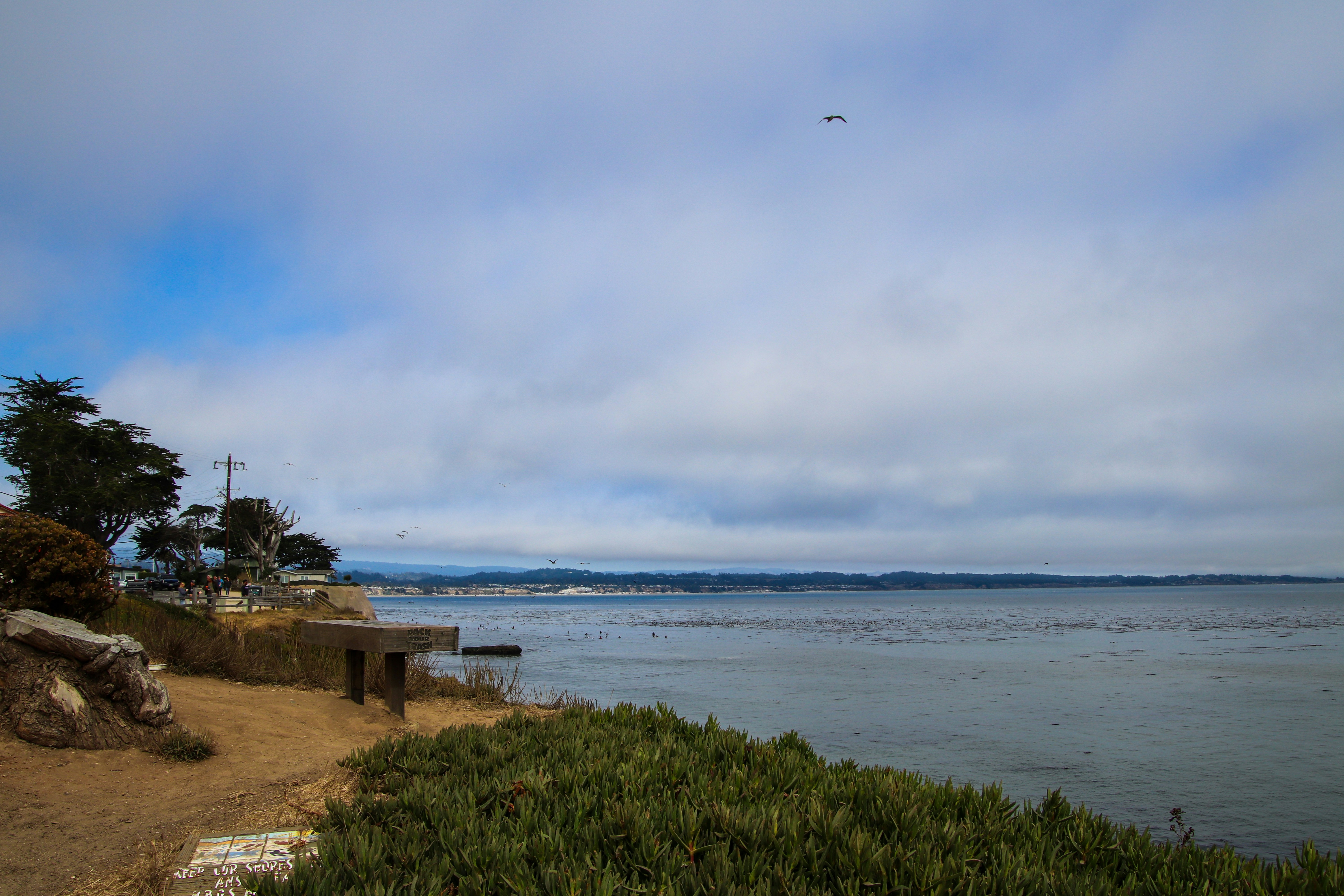 Los 50 mejores expertos en rediseño de contenido de IA en Santa Cruz de Tenerife