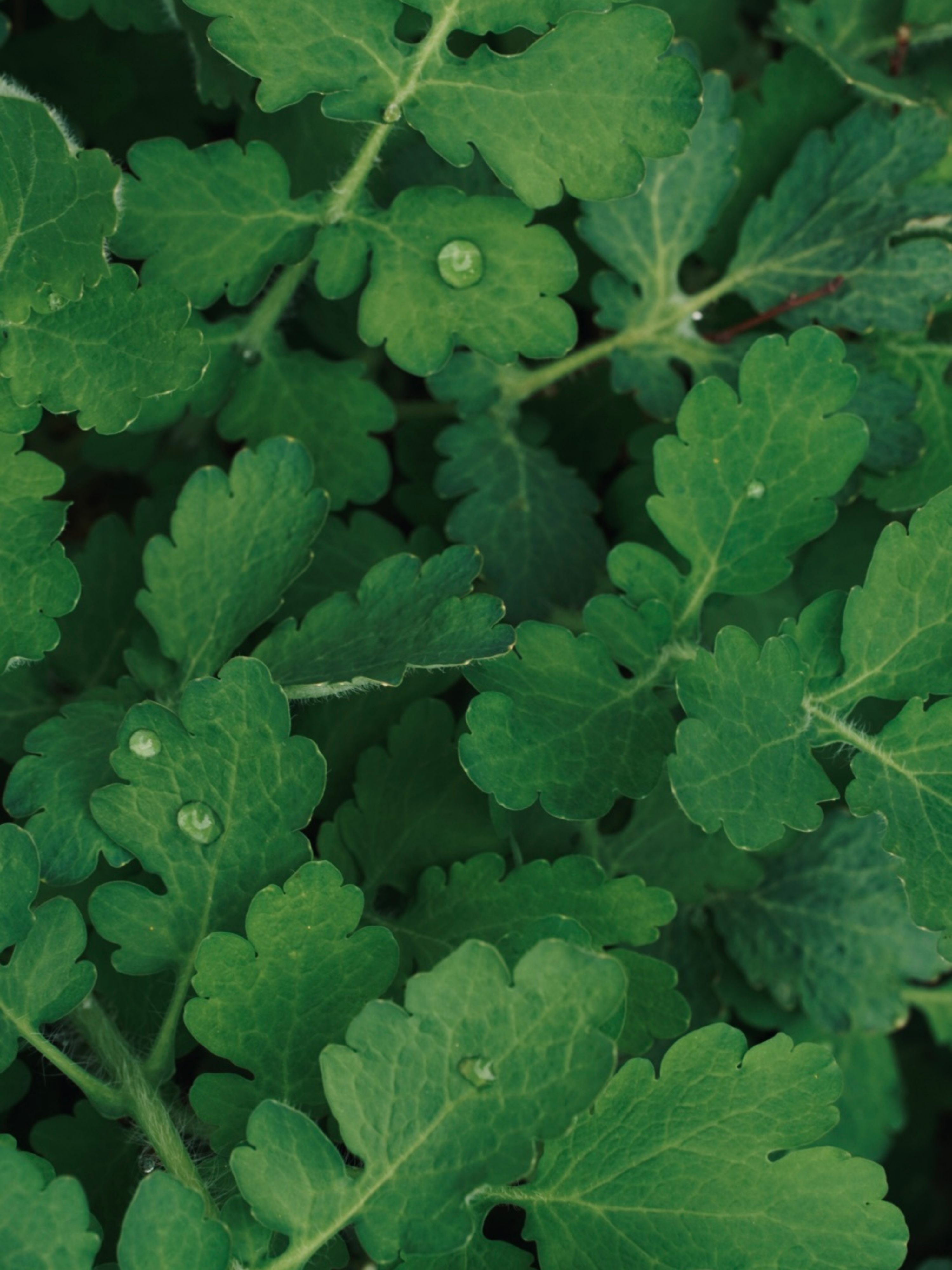 Top 100 Expertos en la transición de las hojas de cálculo a la automatización en Valencia 2026