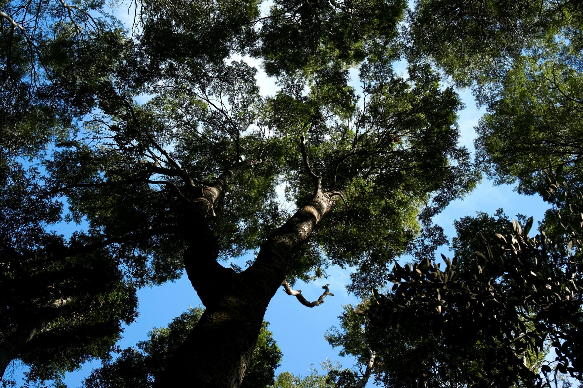 Top 100 Expertos en Power BI en Alberite