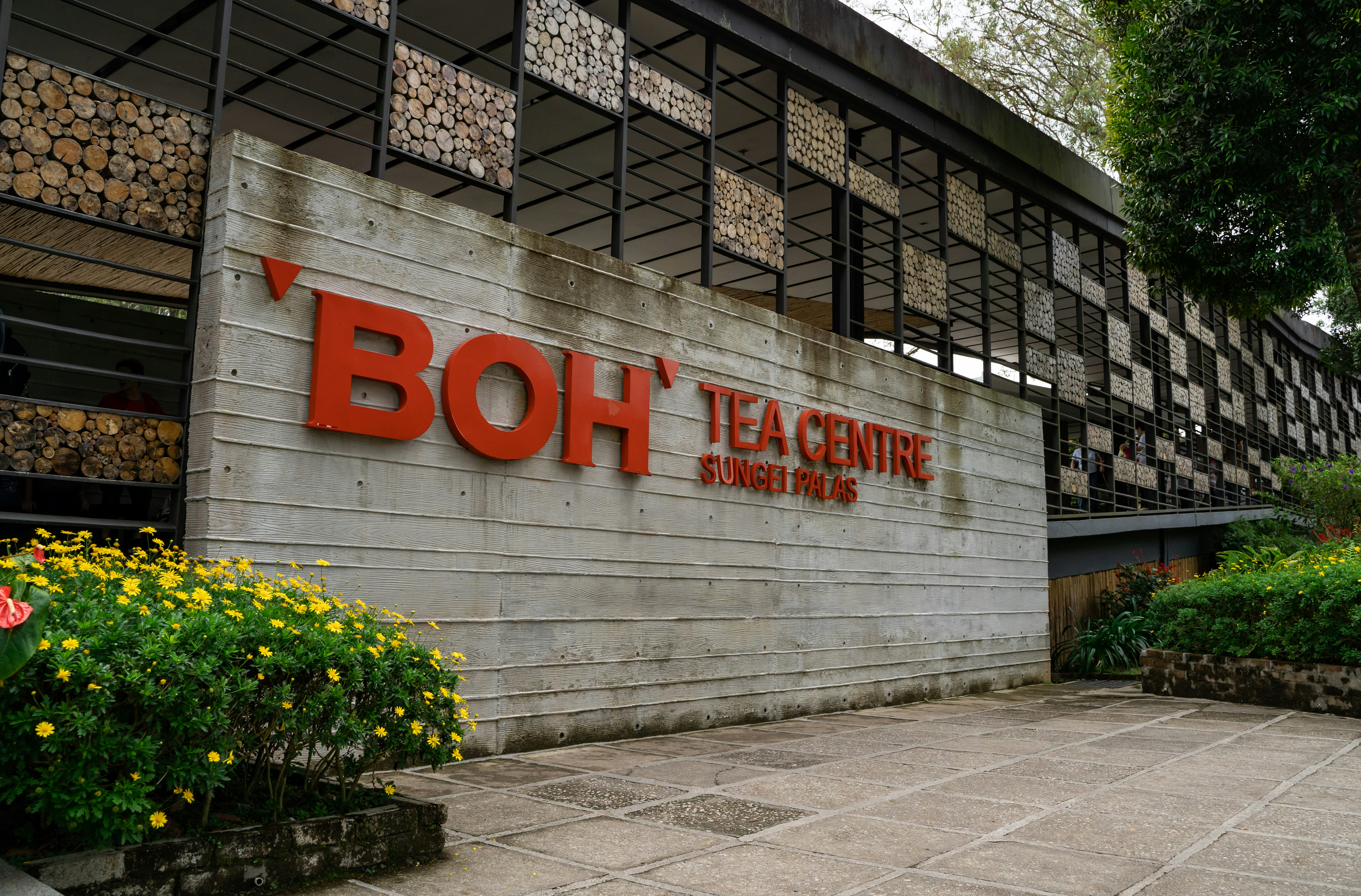 Top 100 Expertos en Power BI en Basauri