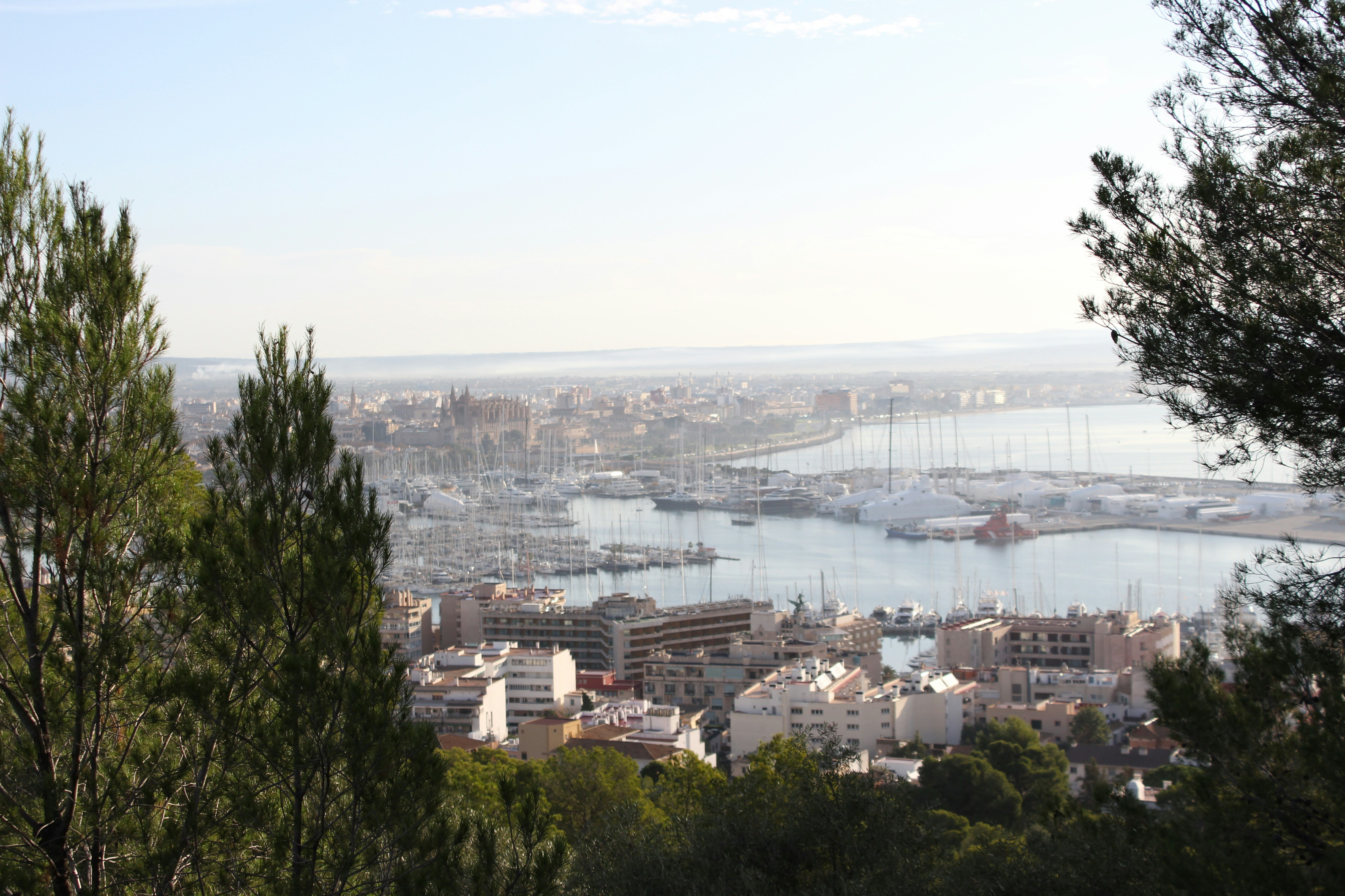 Mejores 3 expertos en desarrollo de aplicaciones en Sant Feliu de Llobregat